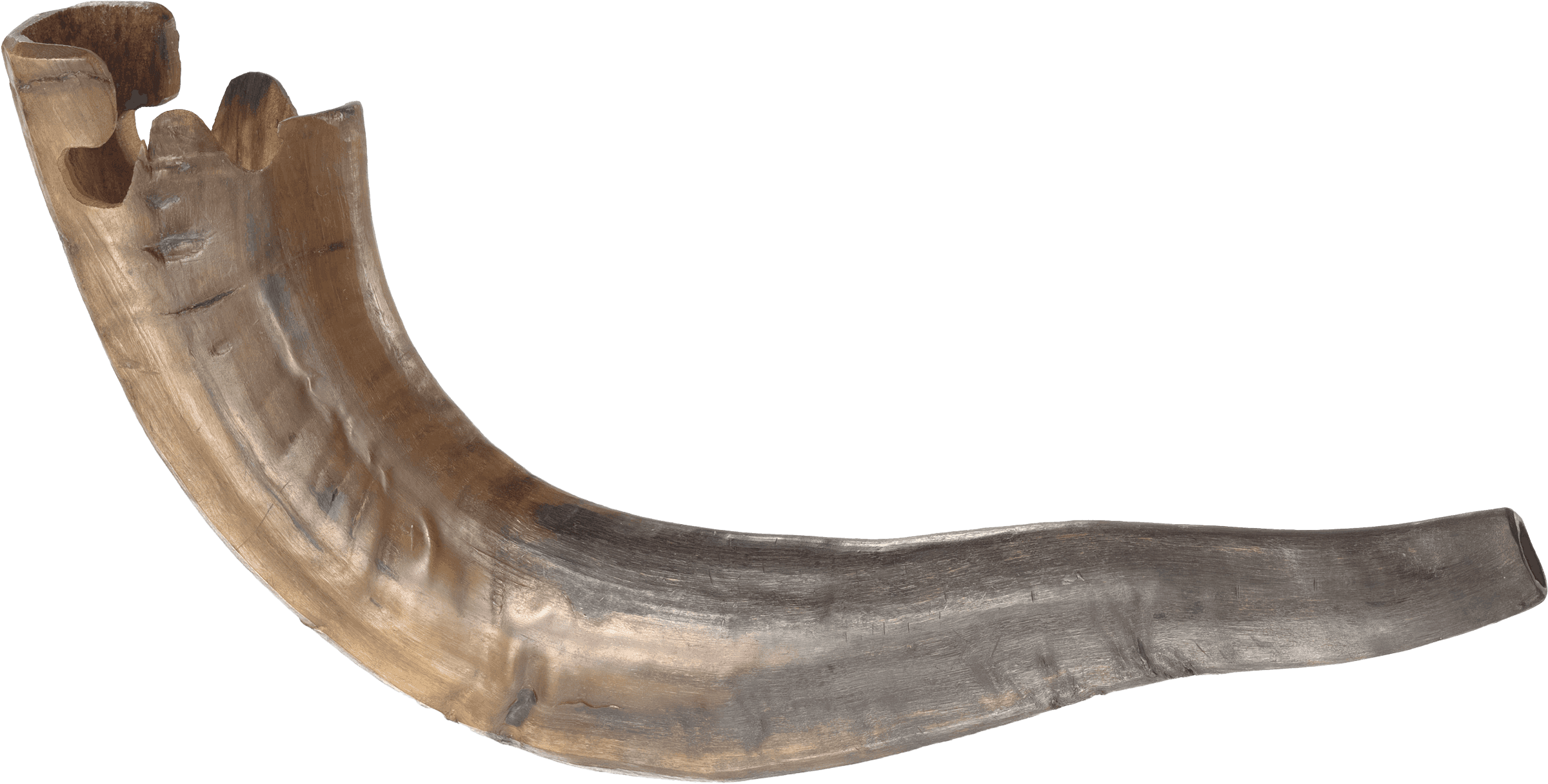 Image of Shofar from Beth Shalom B’nai Zaken Ethiopian Hebrew Congregation