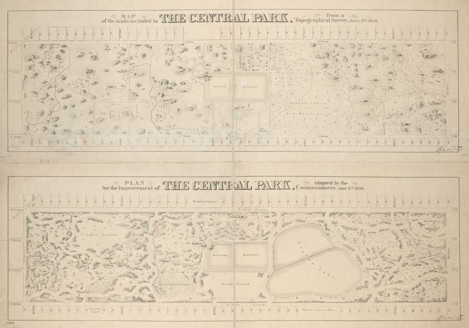 Detailed map of Seneca Village