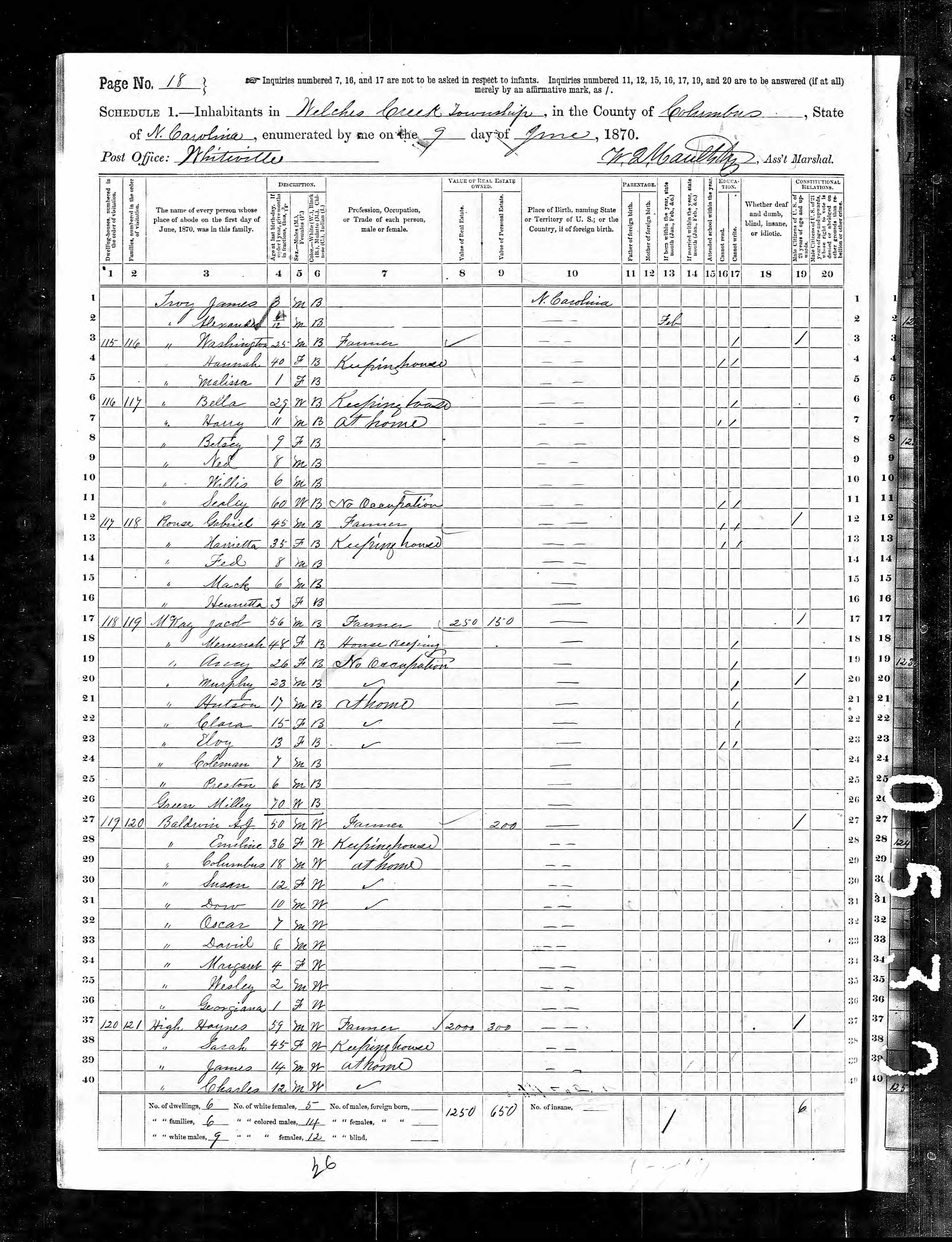 Image of census record that lists the McCoy family