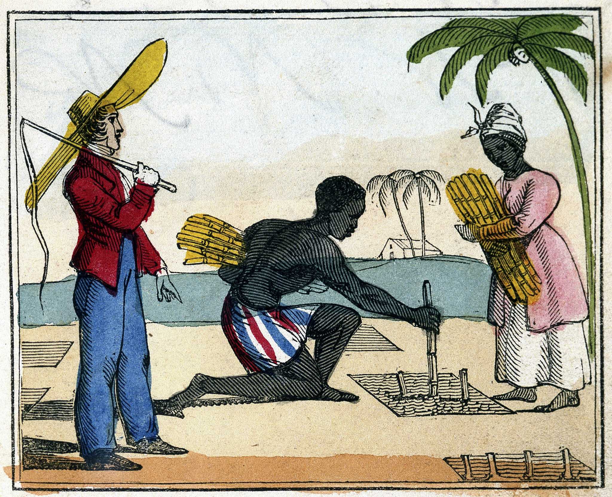 Illustration of enslaved people working in the cane field