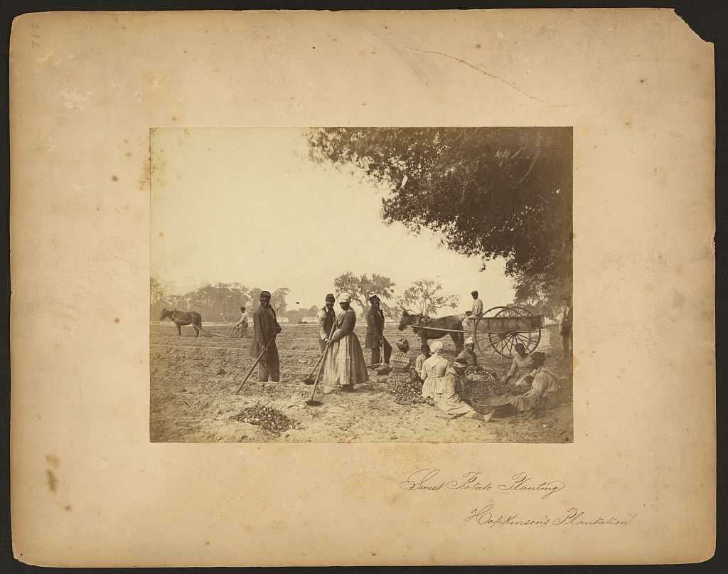 A worn sephia toned group people work and sit while working on a sweet potato plantation.