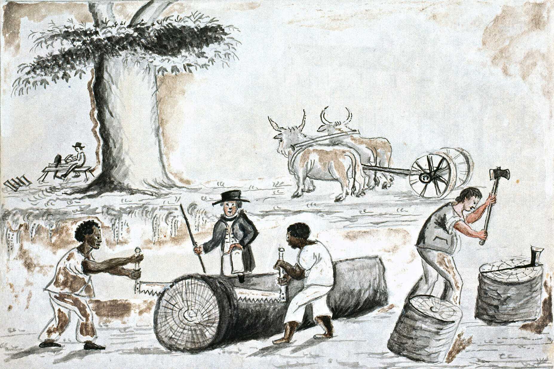 Image of people cutting timber