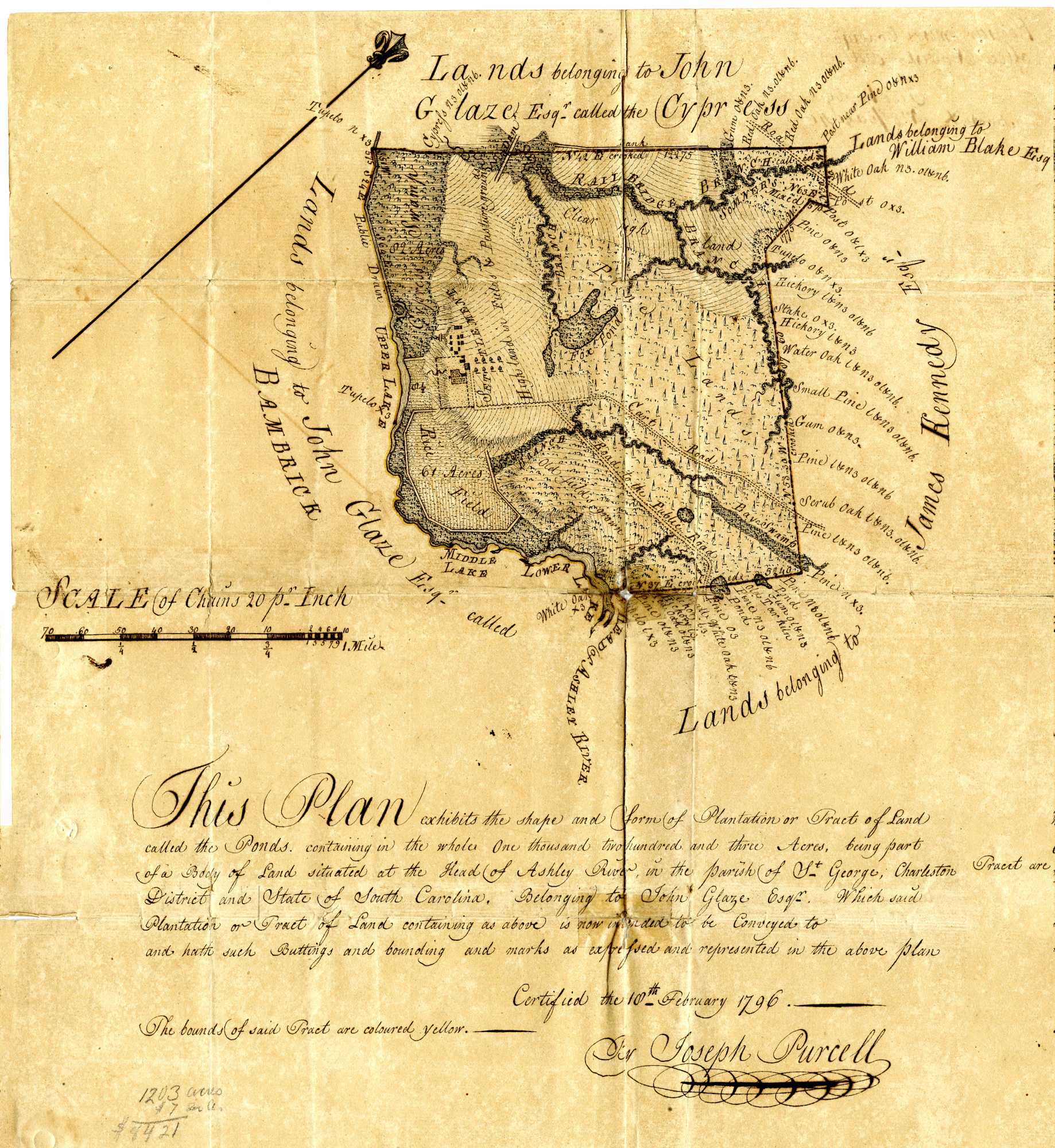 Image of land deed from Point of Pines Plantation, Edisto Island, South Carolina