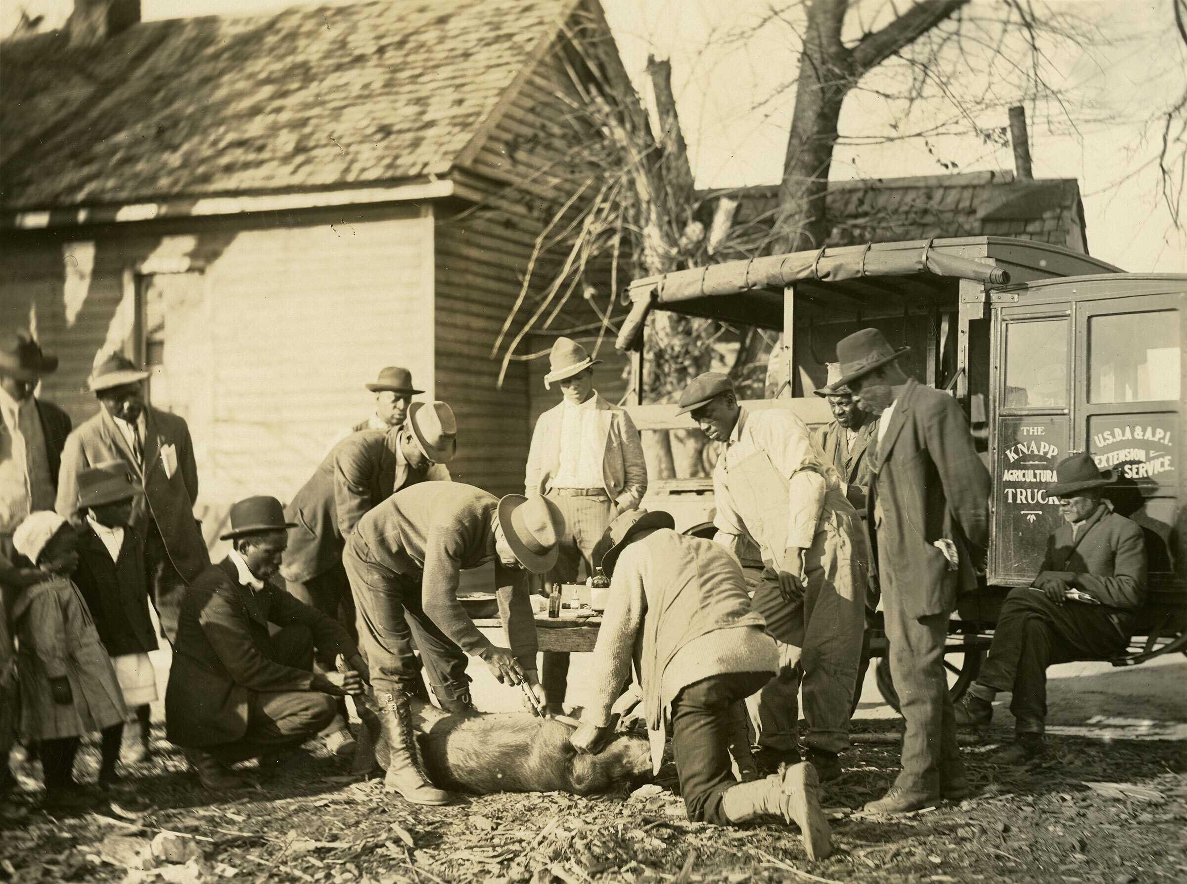 Black and white photograph of people standing around two men demonstrating agricultural techniques.