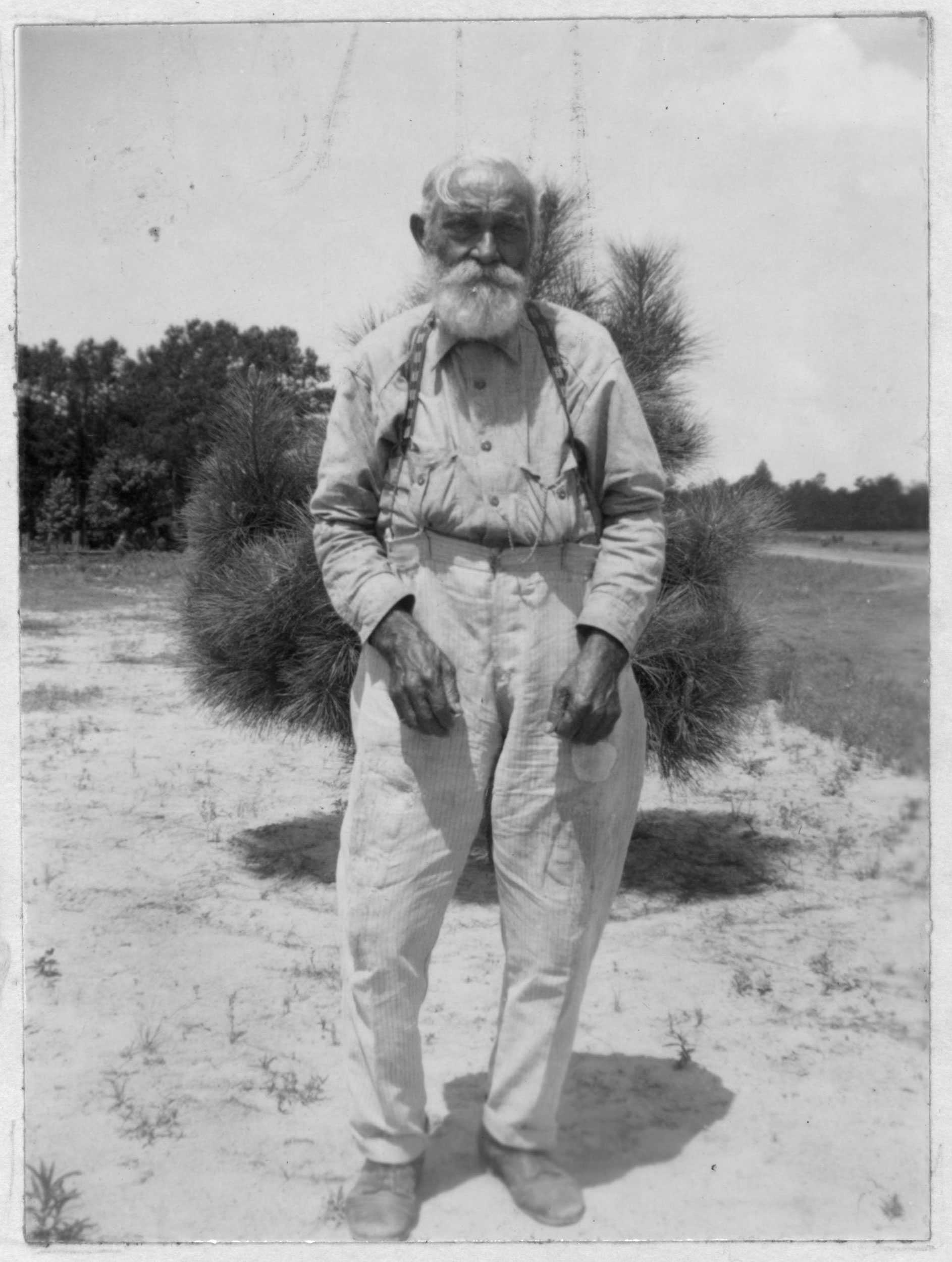 Elderly man with a beard and suspenders standing on a sandy path, with trees in the background.