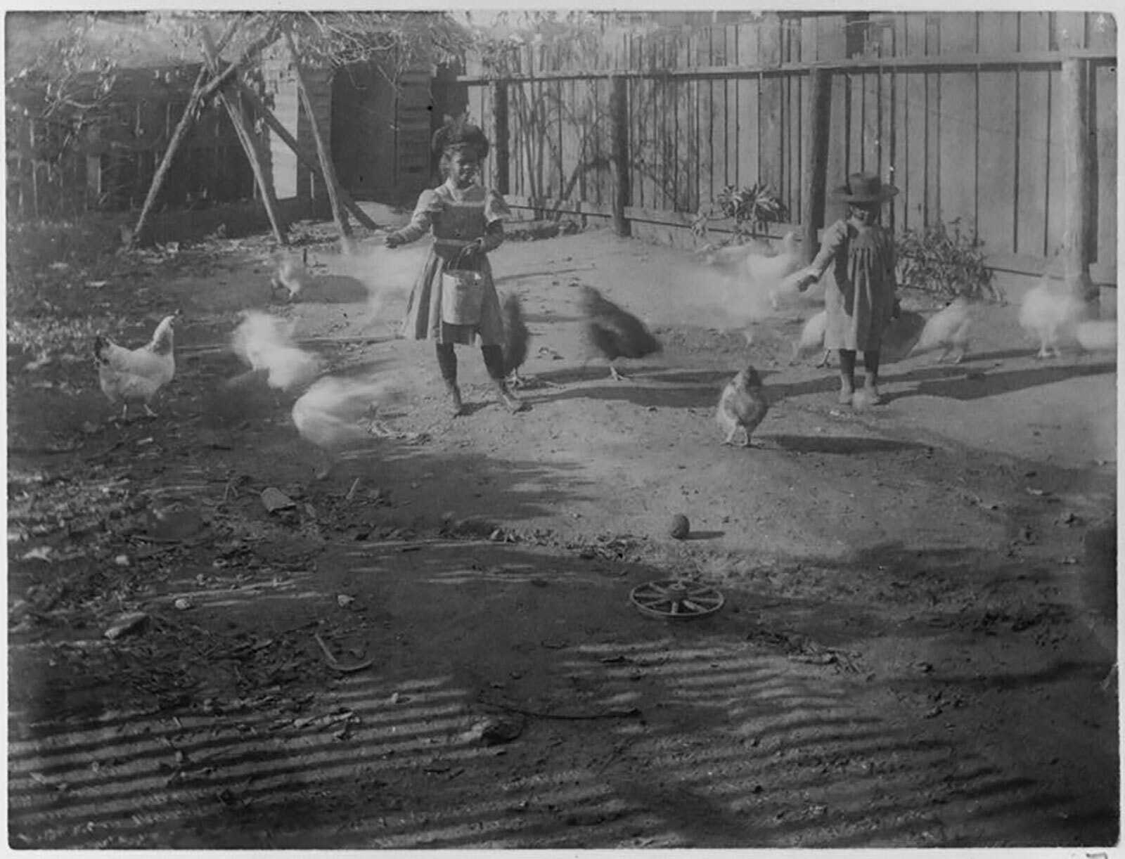 Black and white photograph of two small African American girls feeding chickens in an enclosed yard