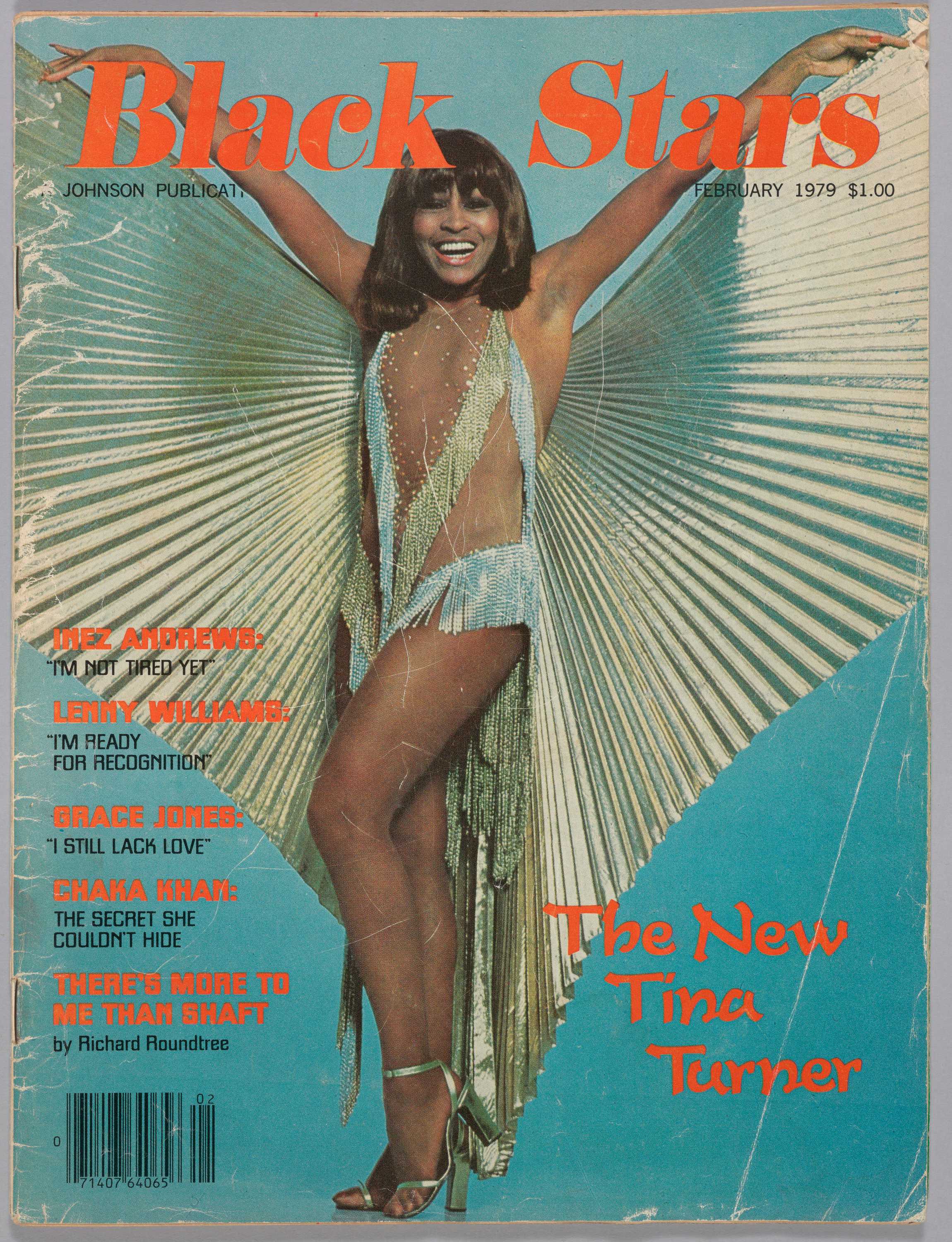 A Black Stars magazine, Volume 28, Number 4 that features a color photograph of the singer Tina Turner on the cover.