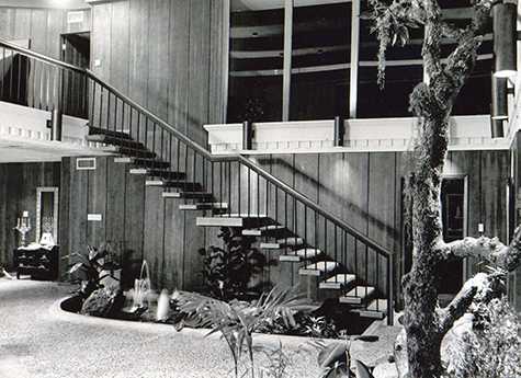 Modern interior with open staircase, wood paneling, and indoor garden.