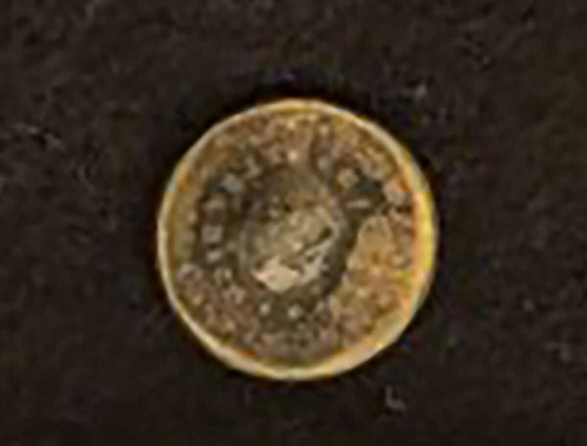Photograph of a round brass button