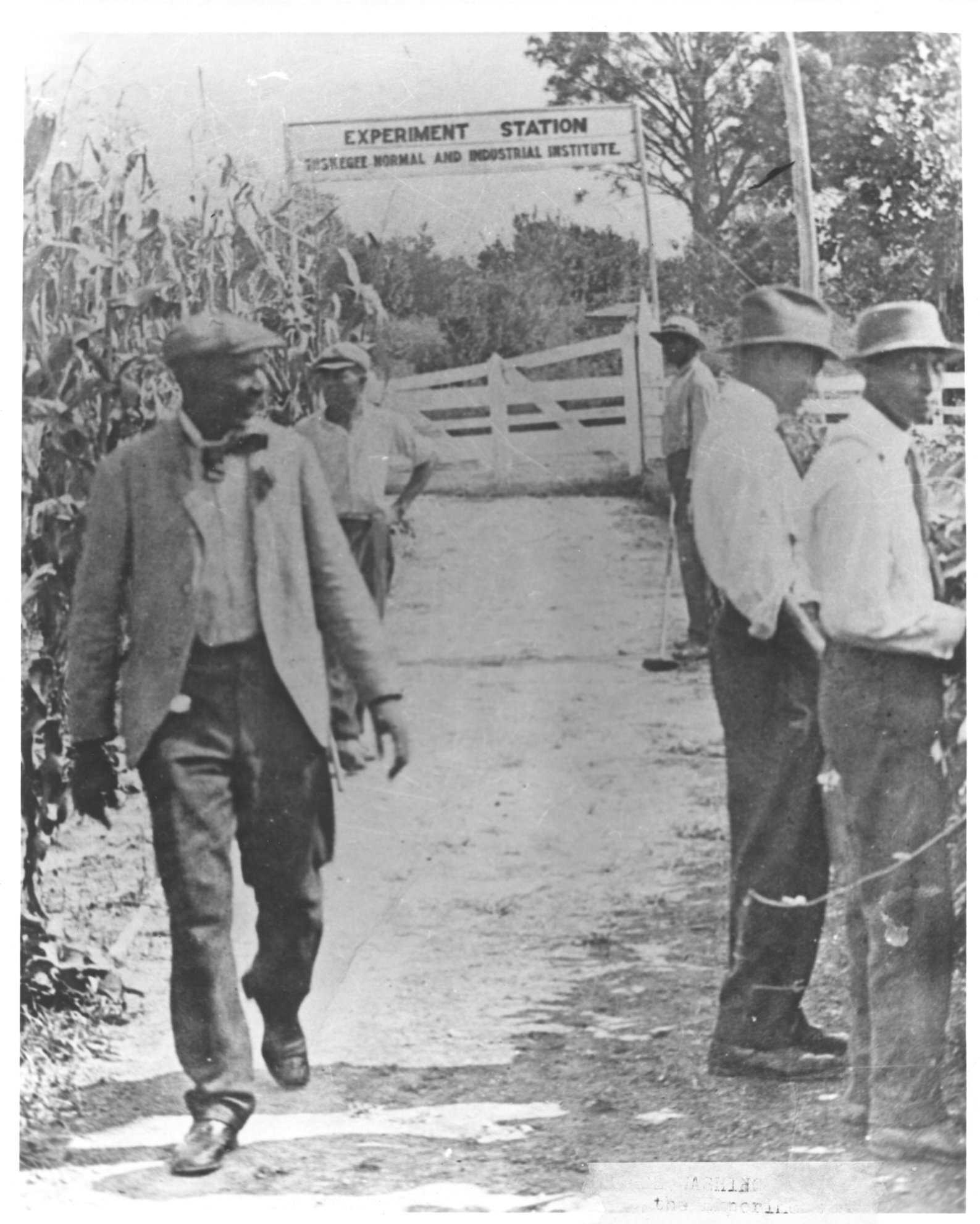 Black and white photograph of George Washington Carver walking in his Experiment Station at Tuskegee Institute.  Students work in the background.