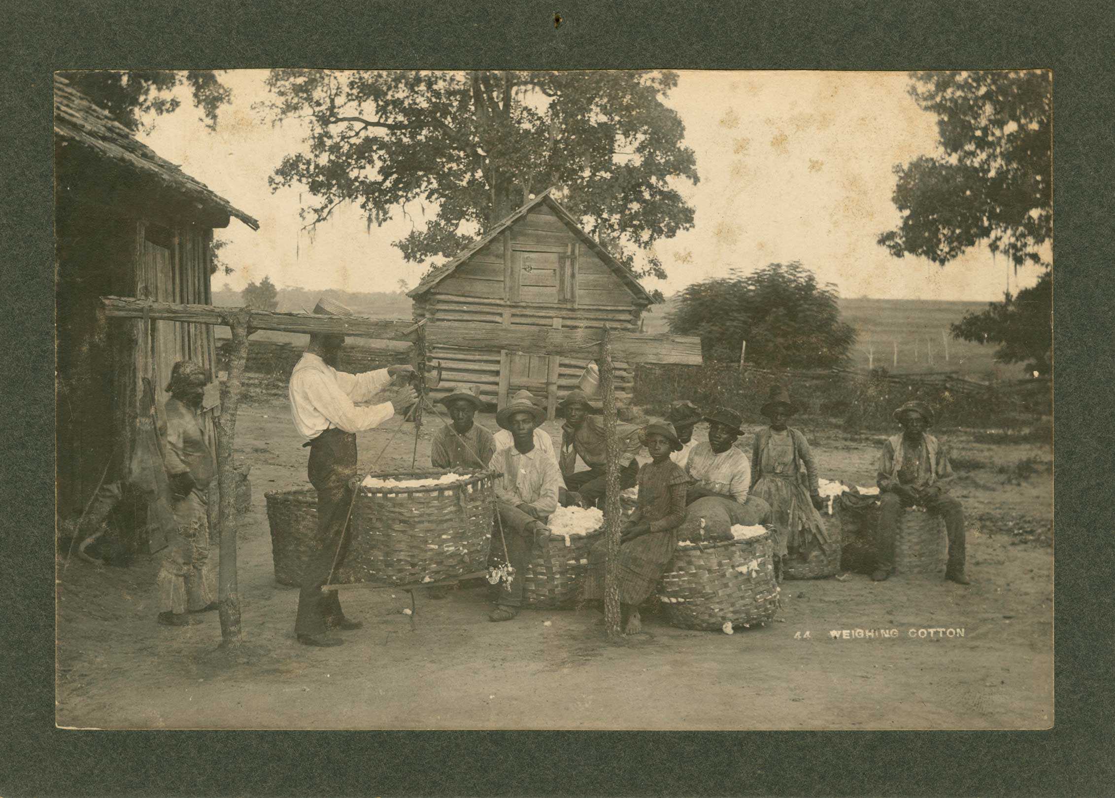 Black and white photograph of a man weighing cotton outside. Nine people sit on baskets of cotton behind him.