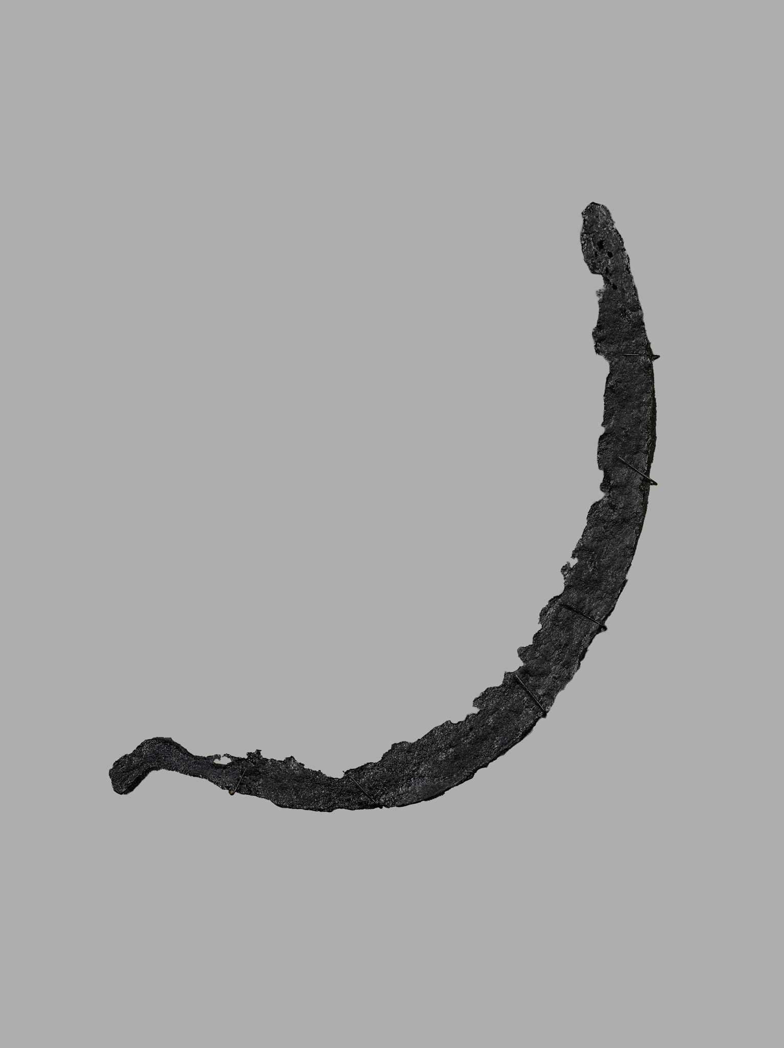 Photograph of a rice sickle from Drayton Hall
