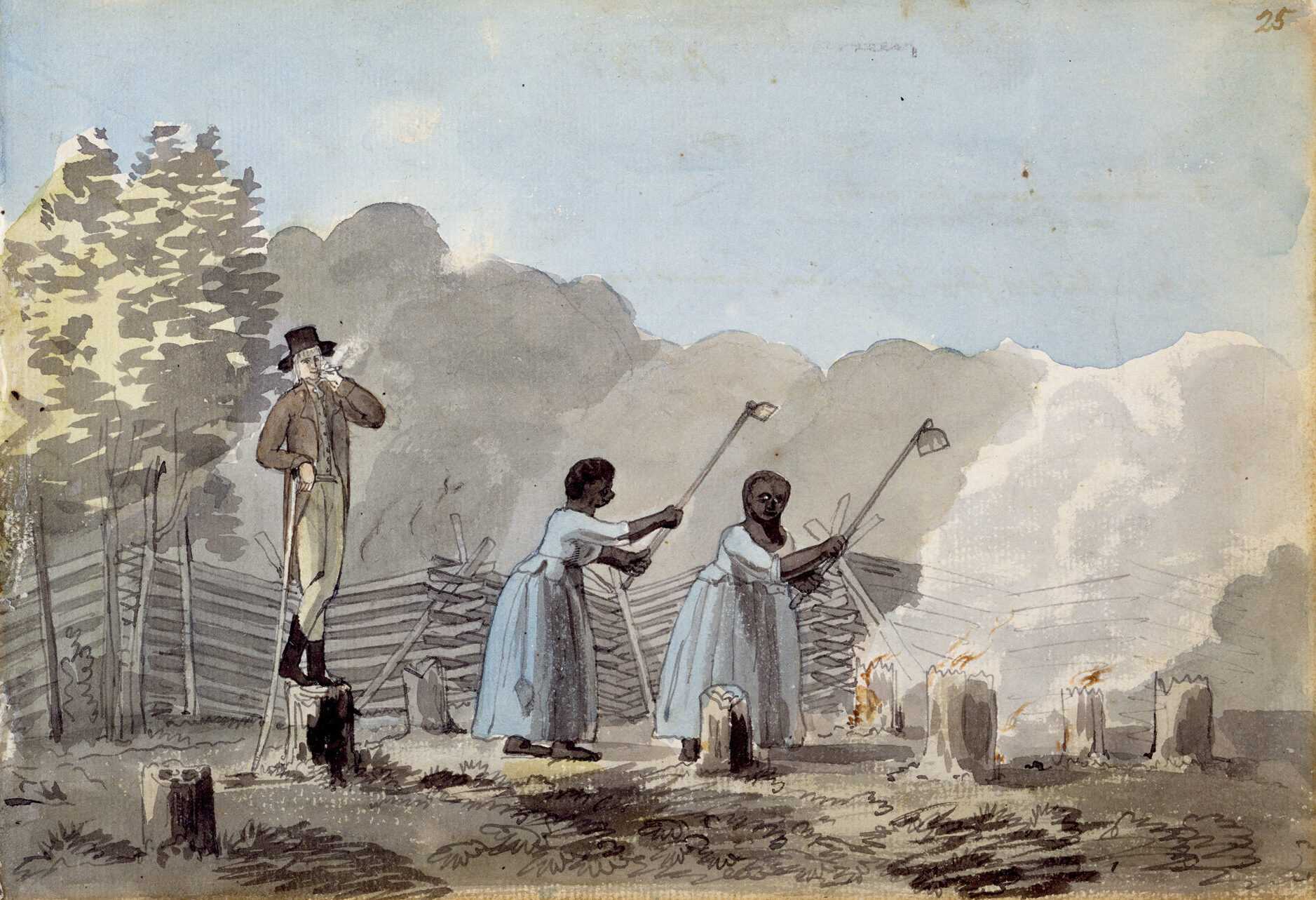 Painting of a white overseer watching enslaved women work in the field