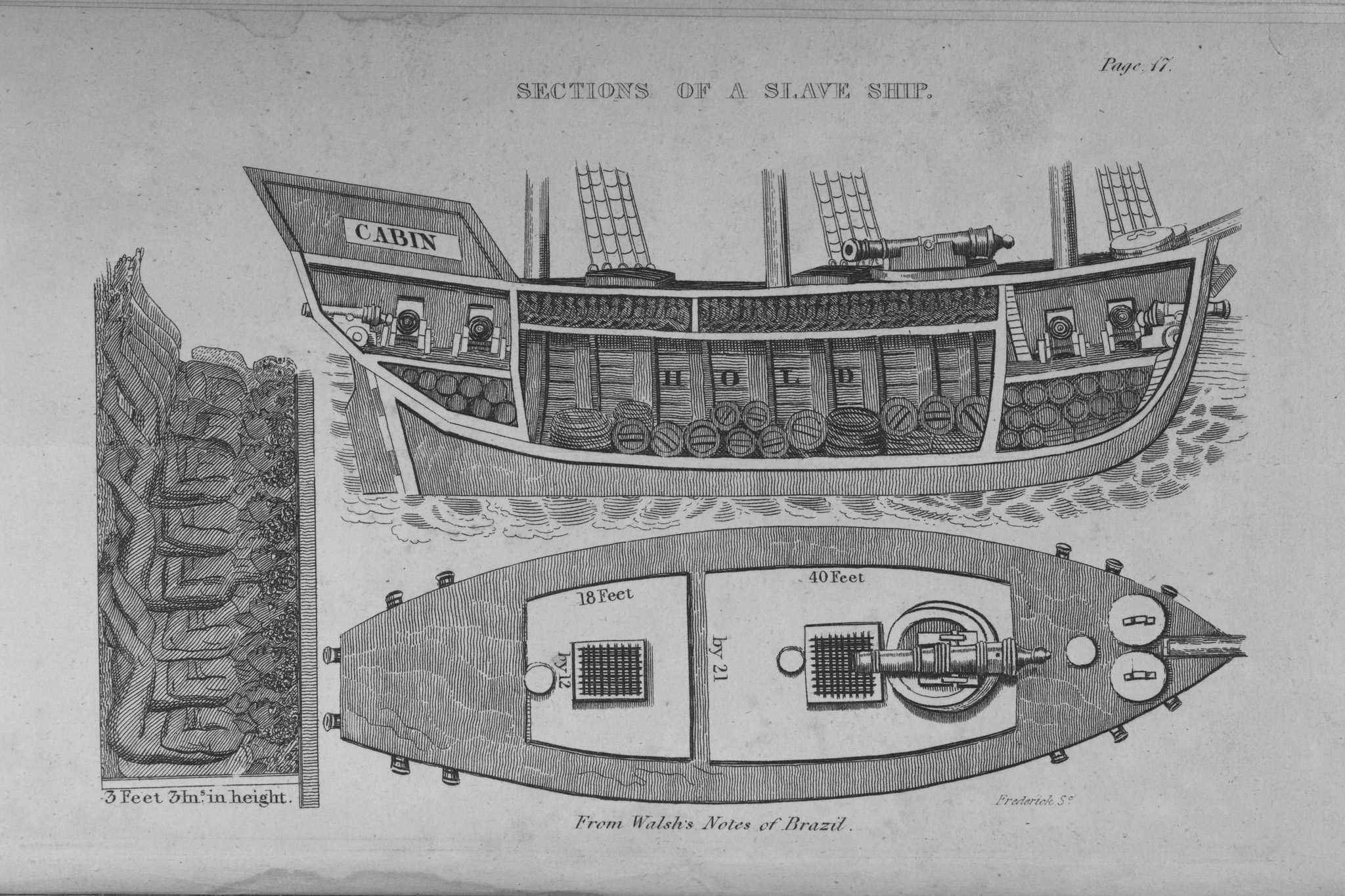 Illustration of how slave ships were packed with people and cargo