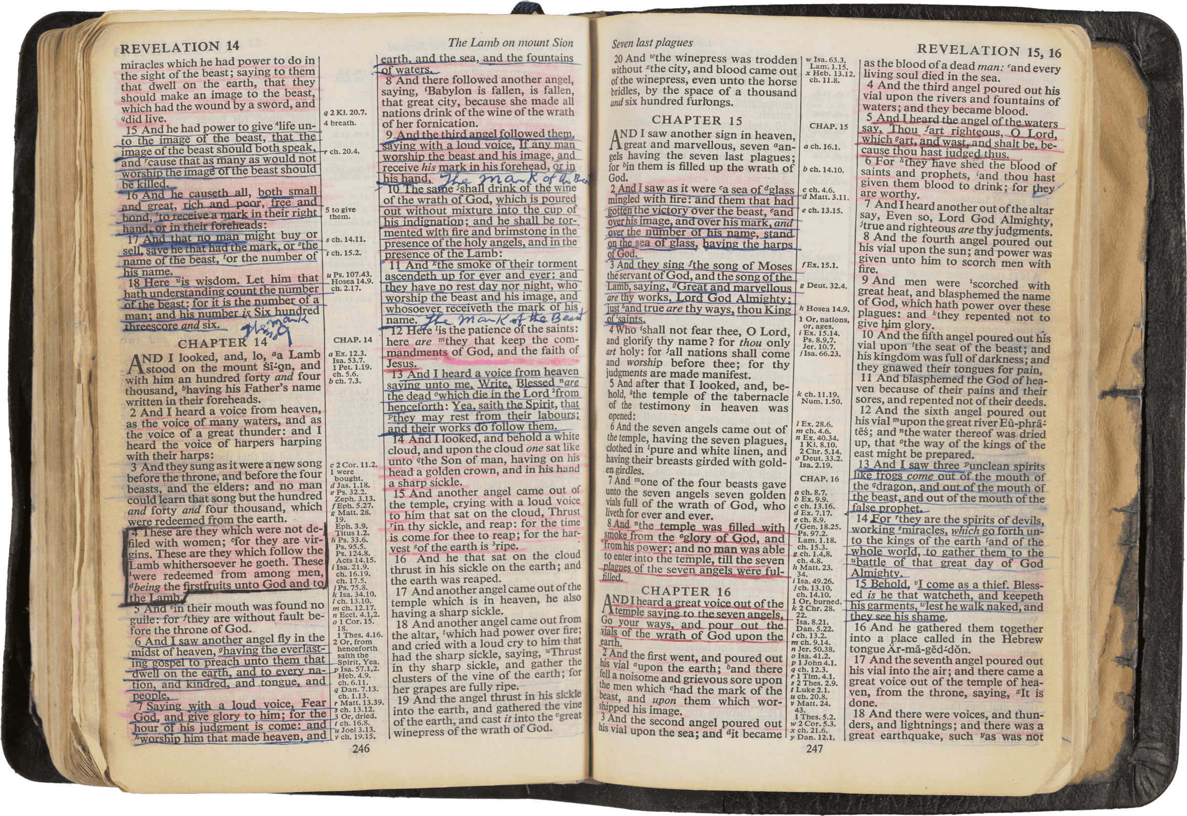 Photograph of inside pages of Bible showing handwritten notes and highlighting.