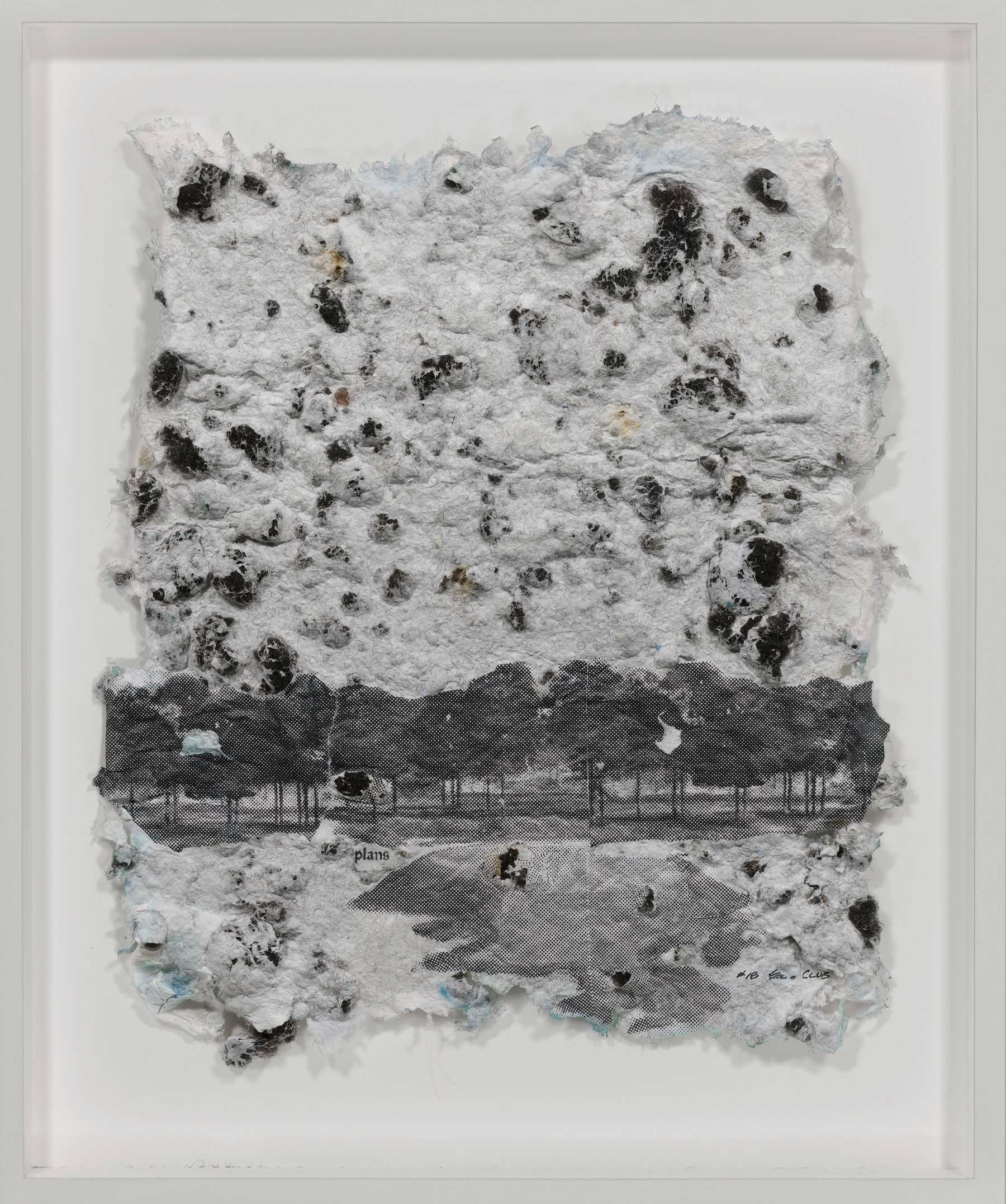 Abstract artwork with a textured surface and an embedded black-and-white image of a tree line landscape, partially covered by fibrous material.