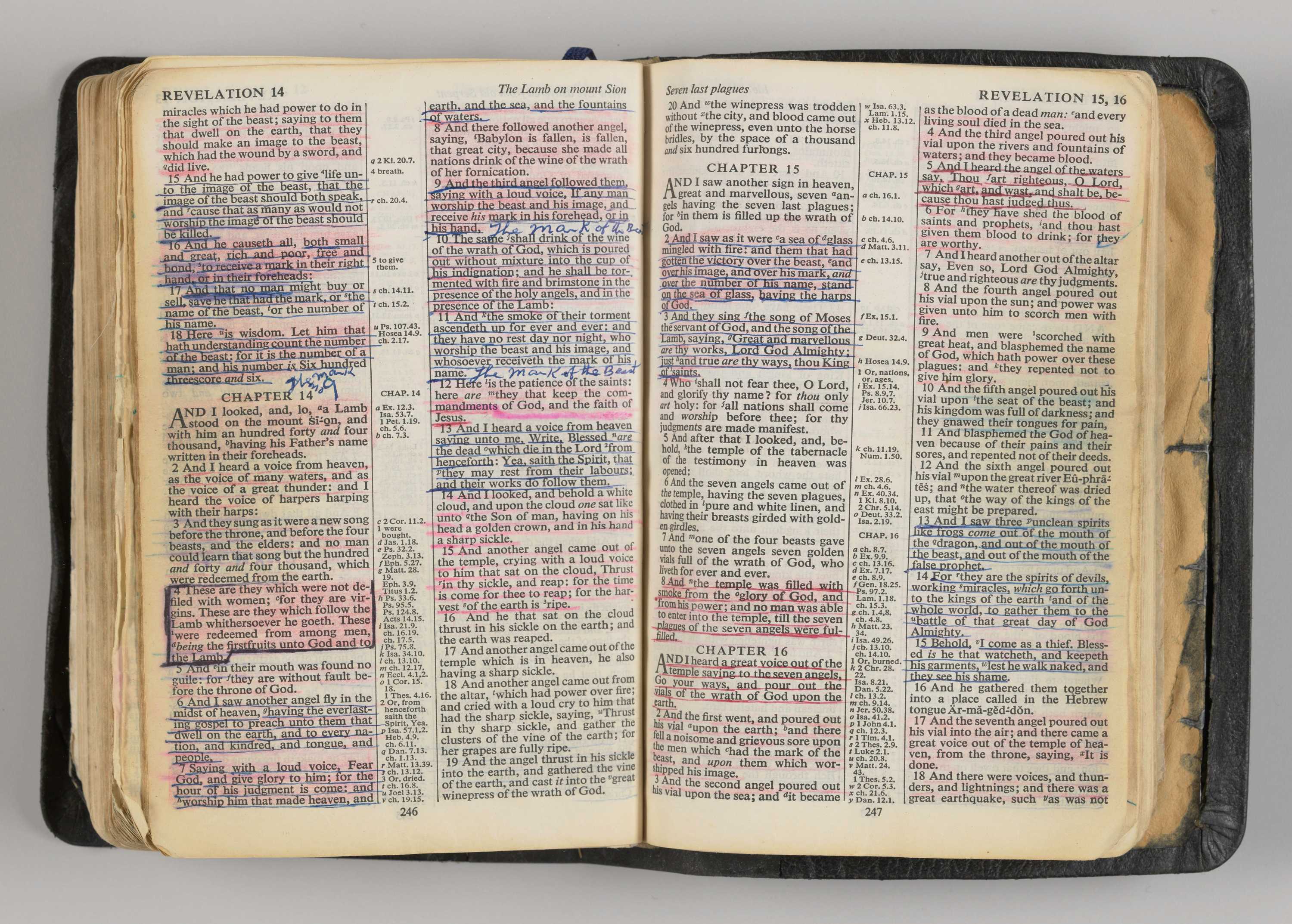 Photograph of inside pages of Bible showing handwritten notes and highlighting.