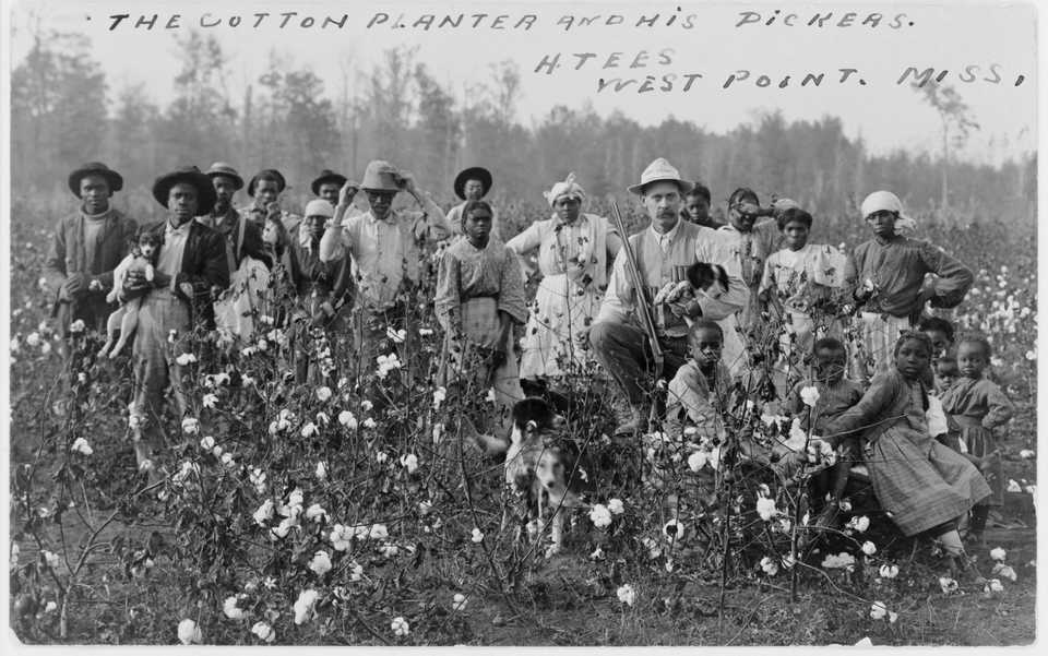 Slavery to sharecropping national museum of african american history