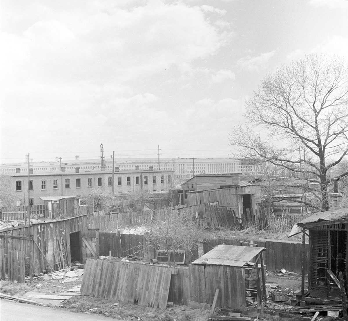 Black-and-white photo of dilapidated wooden structures with a large building and tree in the background.