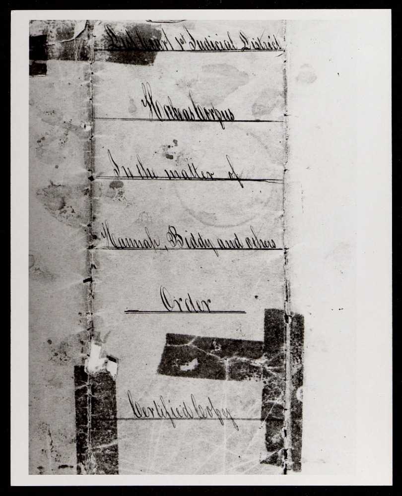 Image of Biddy Mason's Freedom Papers