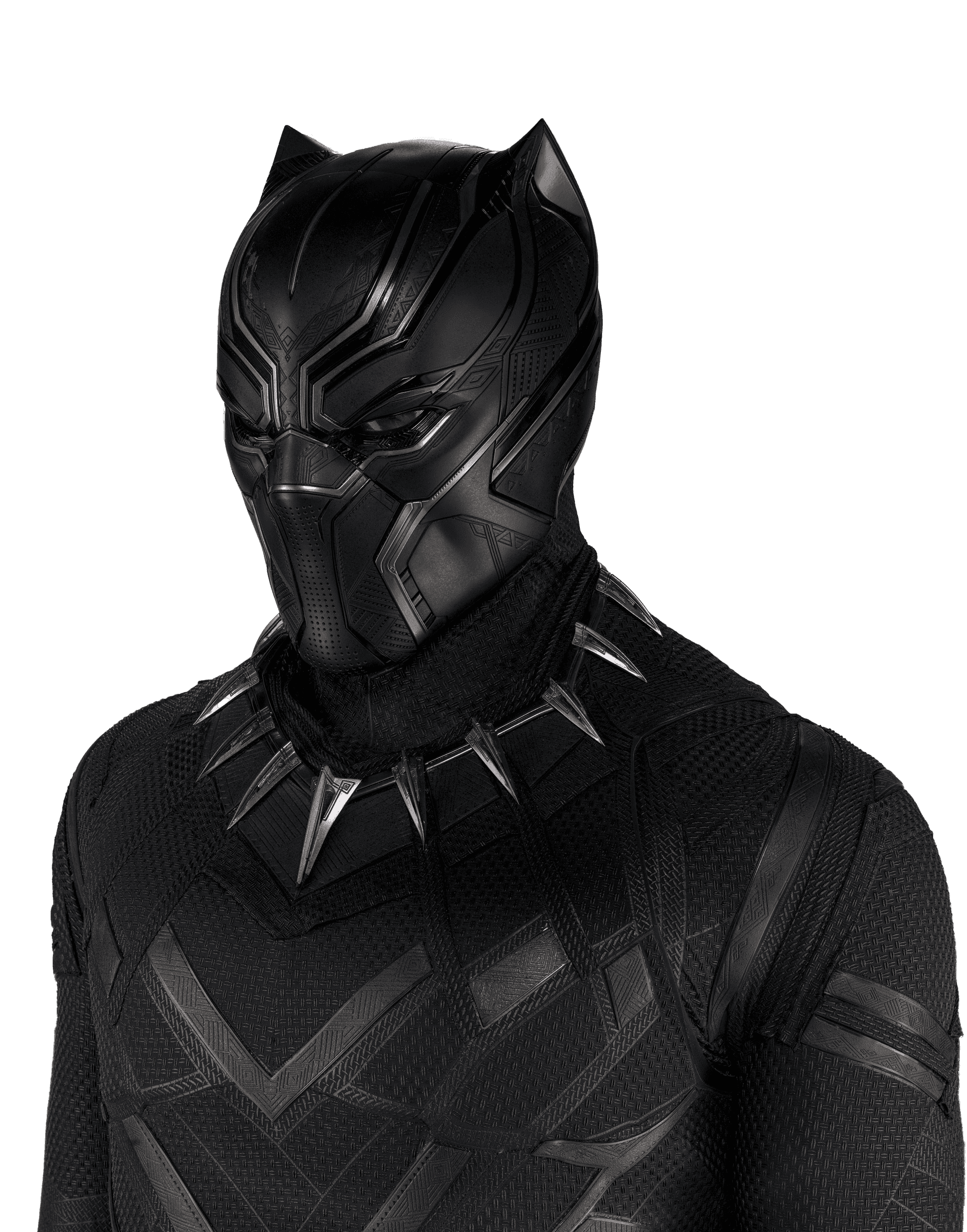 A head to chest view of the Black Panther suit. Fully covering the face, the suit is a sleek and cat like.