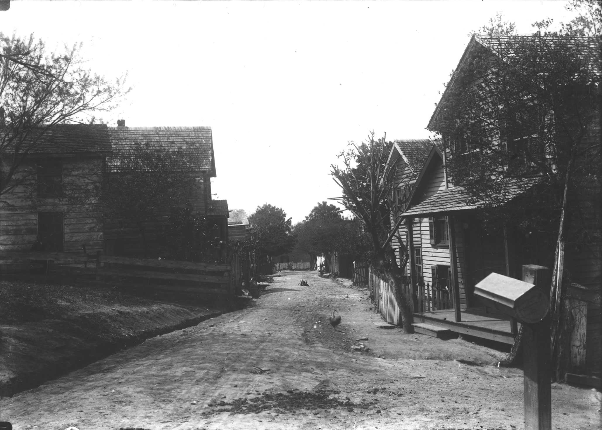 Black-and-white photo of a dirt road flanked by wooden houses and trees, capturing a rural neighborhood scene.