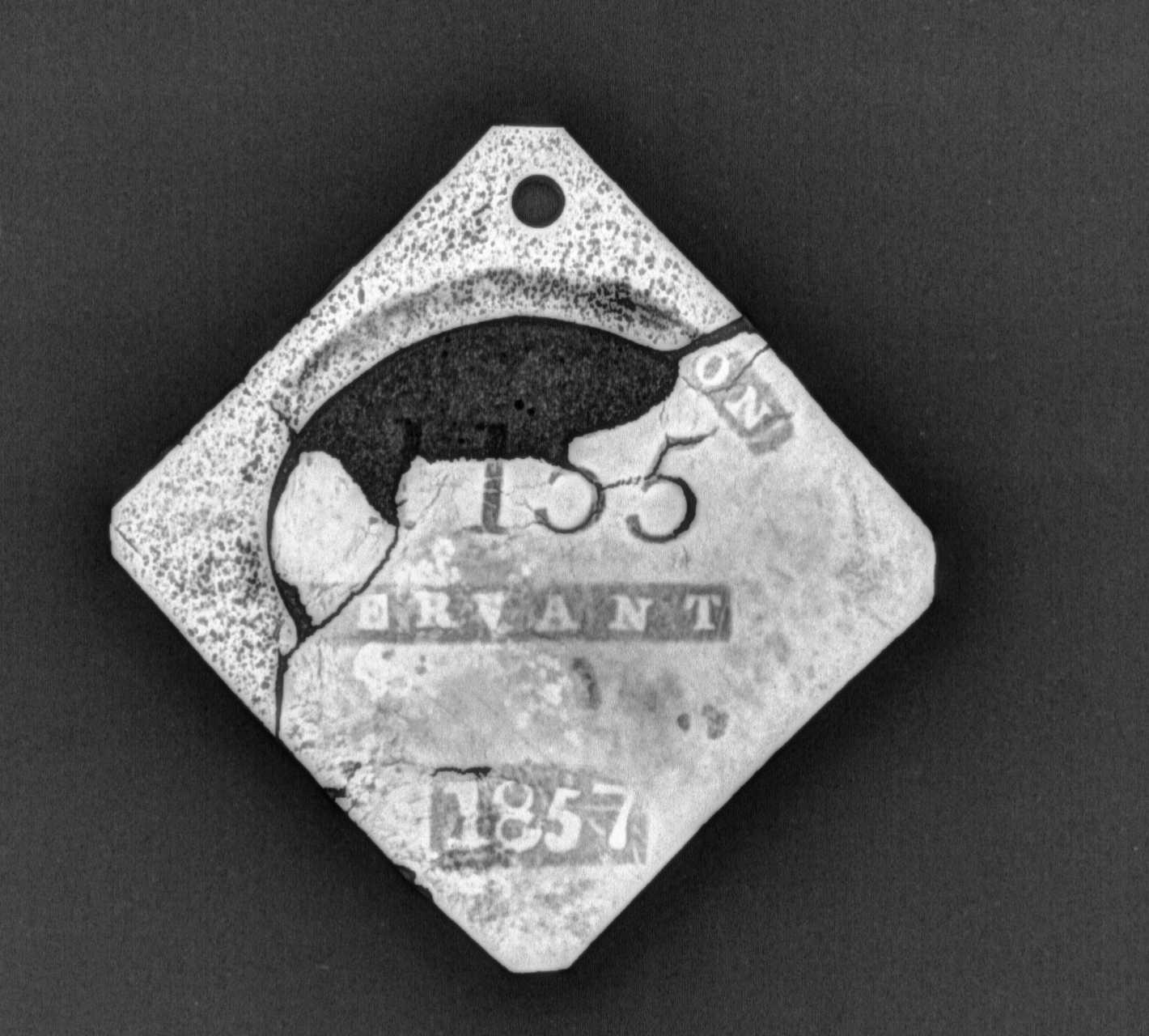 X-radiograph image of slave badge