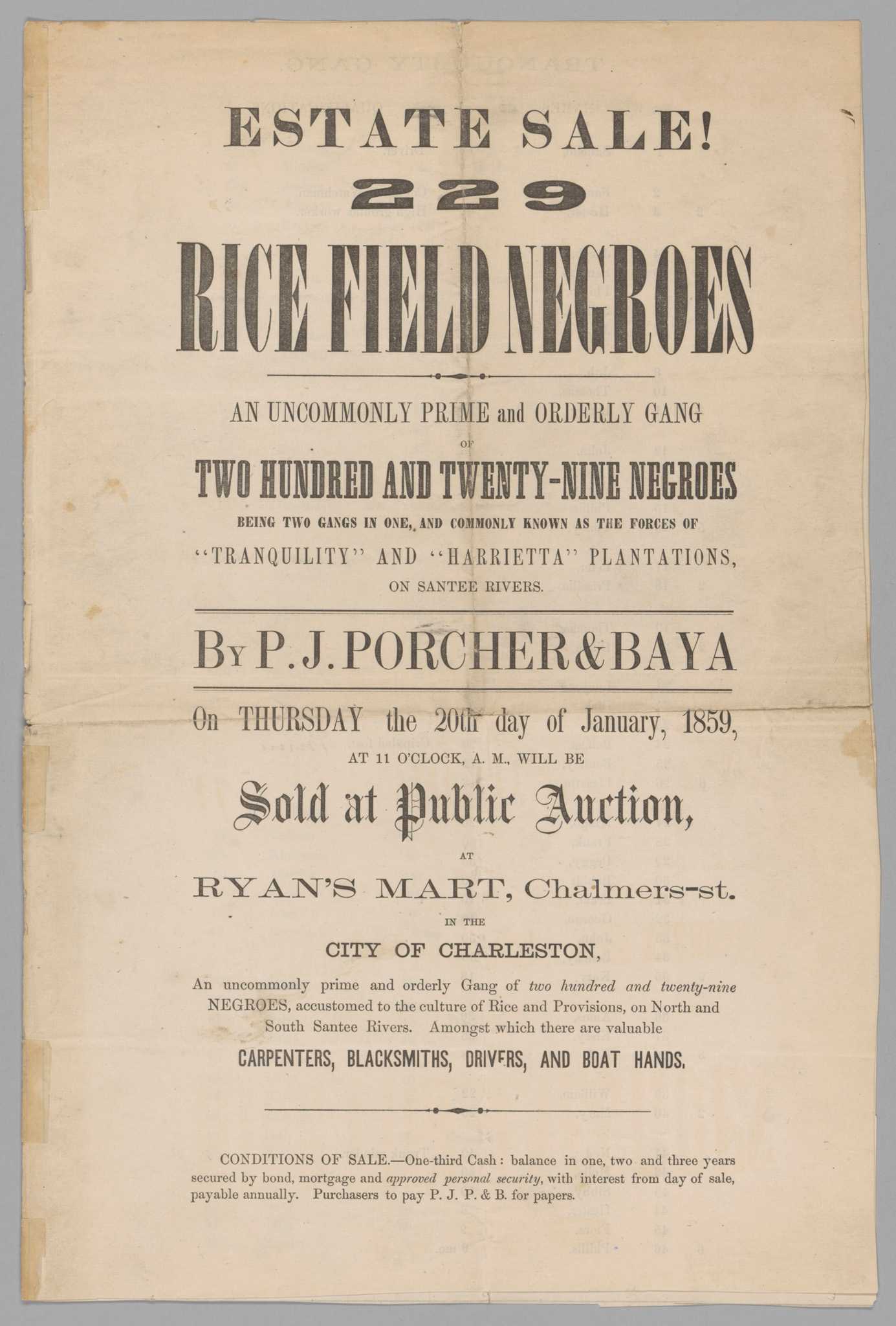 This broadside is an announcement for an estate sale of 229 enslaved men, women and children.
