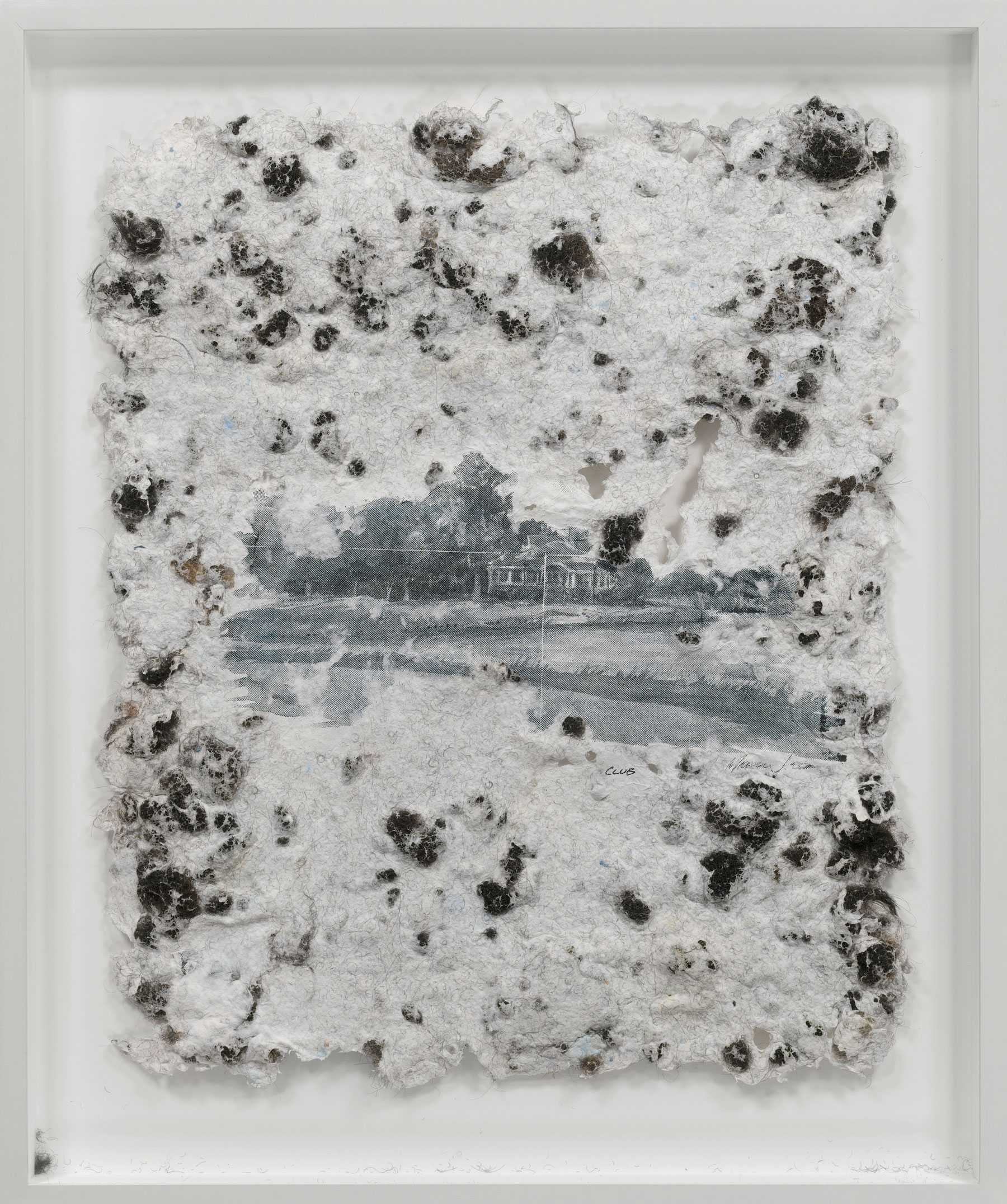 Artwork featuring a landscape image partially obscured by textured, fibrous material with dark spots.