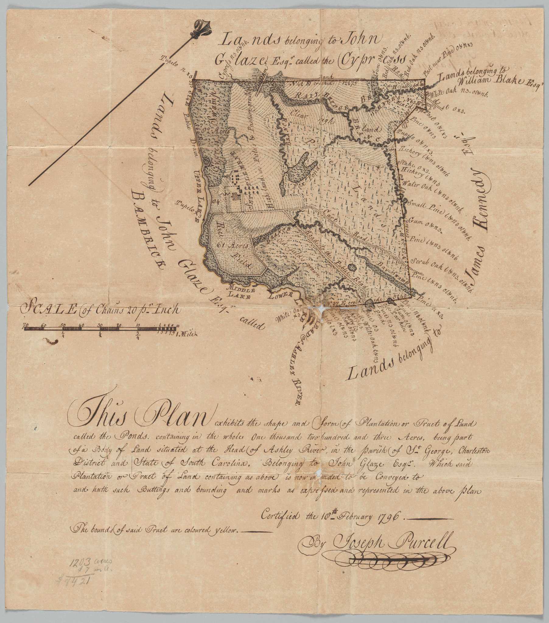 Map of a "The Ponds" rice plantation