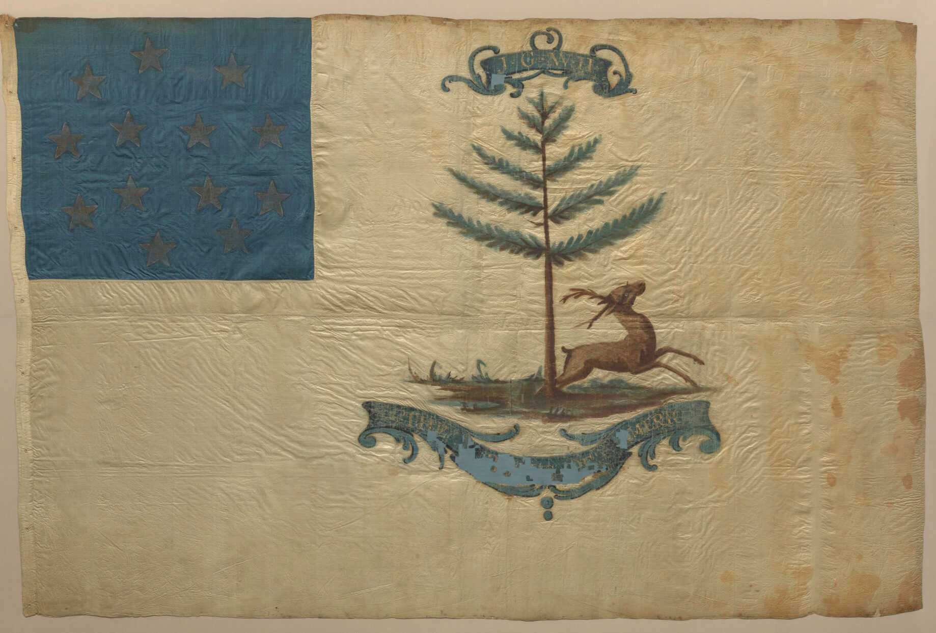 Photograph of Bucks of America Flag