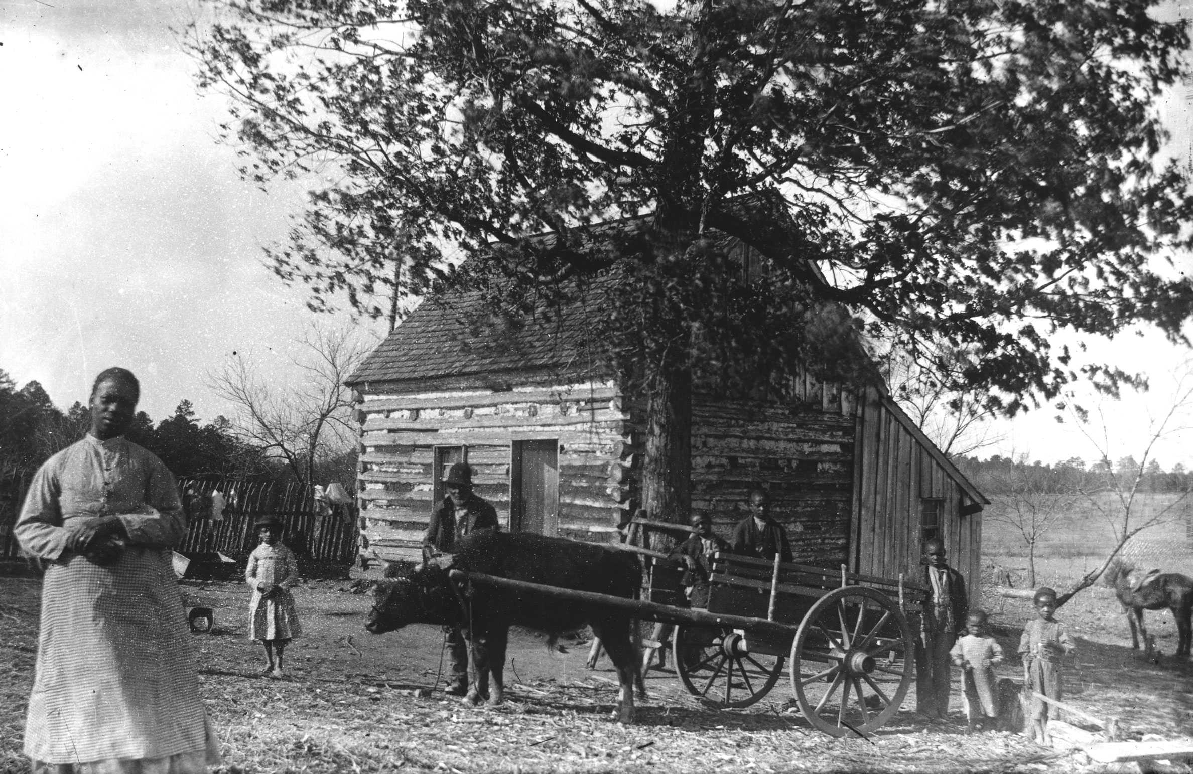A family poses for a photograph in front of their log cabin. There are multiple children around the ox.