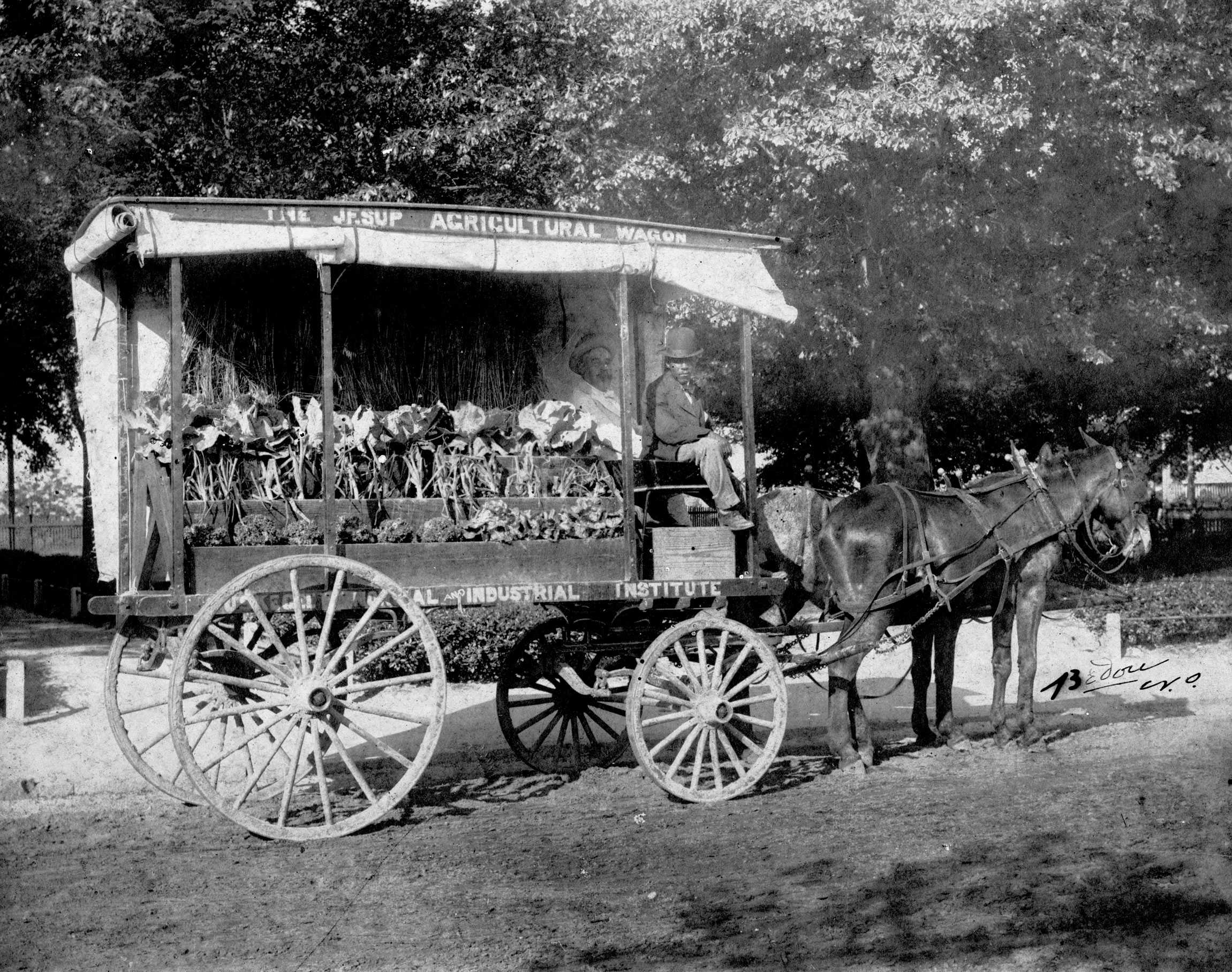 Photo of a horse-drawn wagon labeled "Jesup Agricultural Wagon" with plants and a person sitting on the wagon.