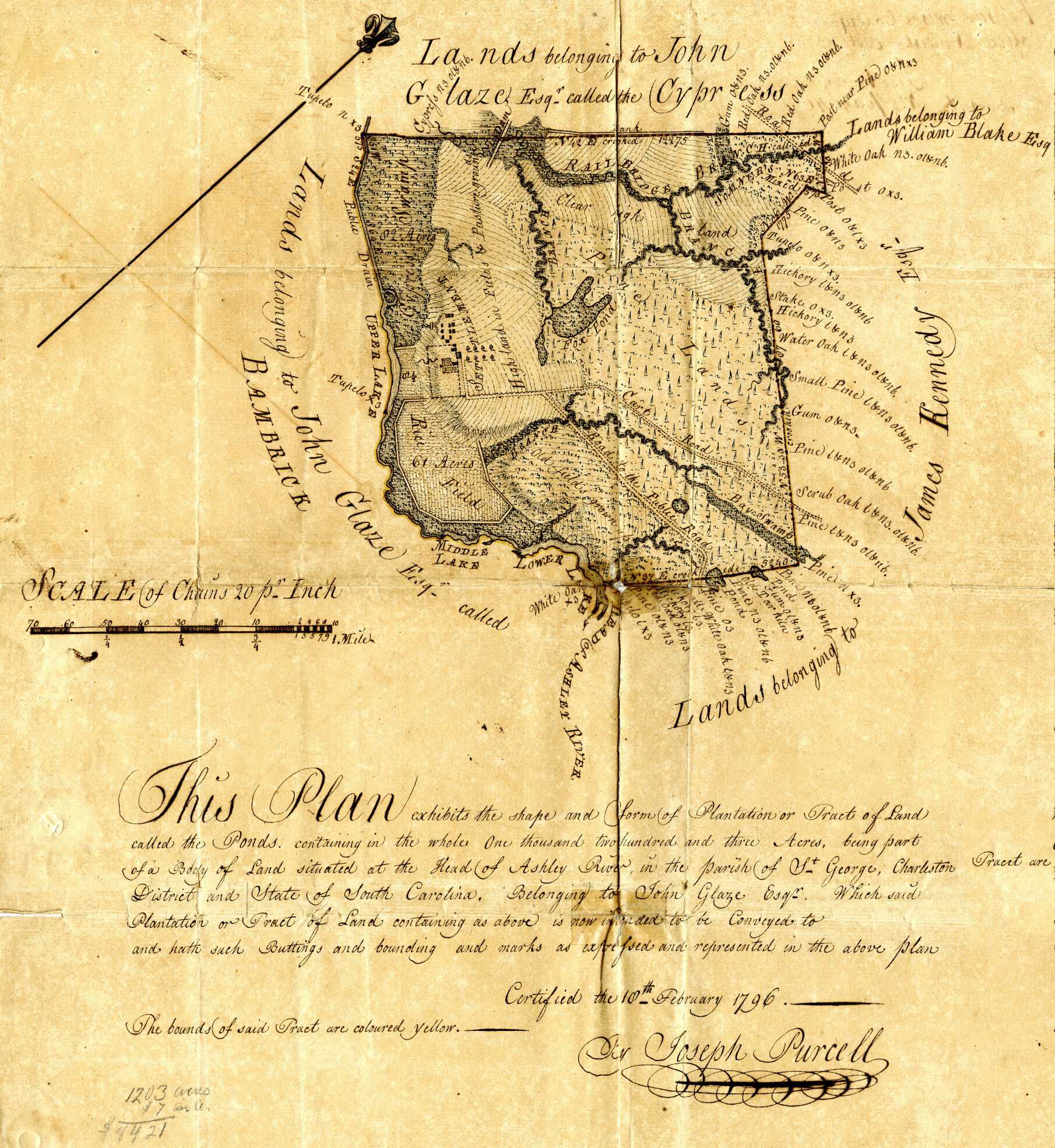 Image of land deed from Point of Pines Plantation, Edisto Island, South Carolina