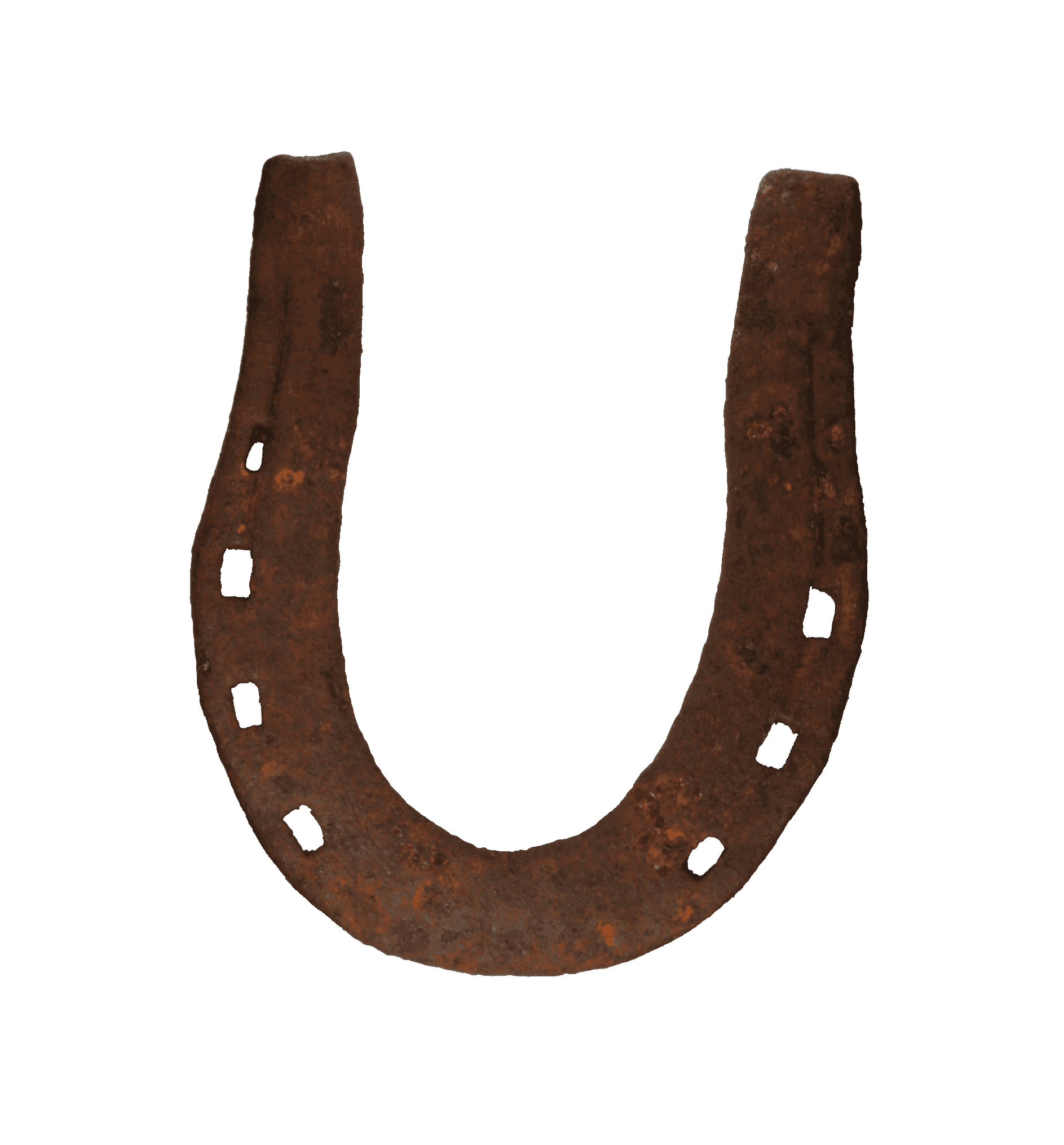 Rusted iron horseshoe.