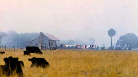 Photograph of Point of Pines Cabin in the 1970s