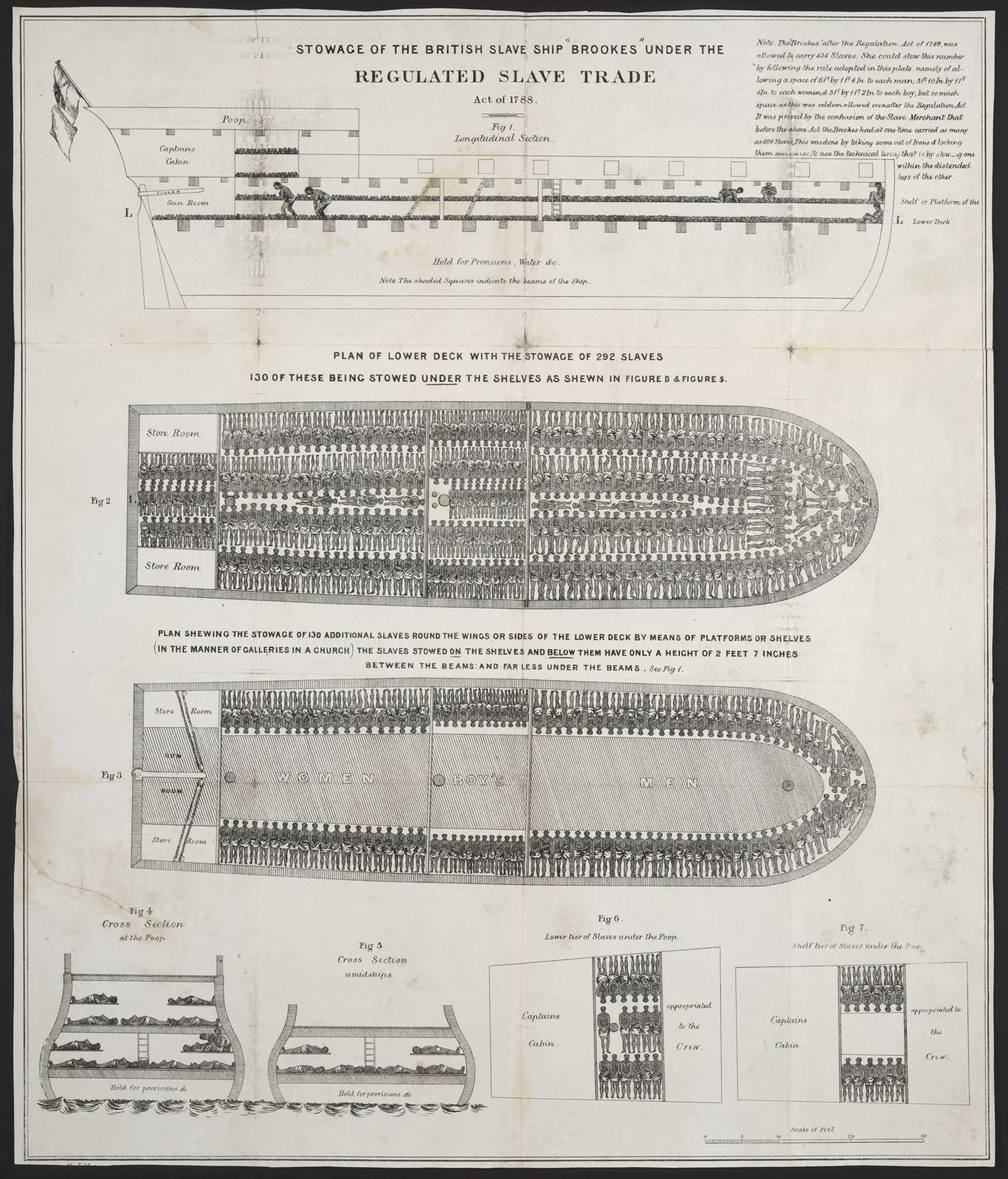The historic illustration of the 'Brookes' slave ship