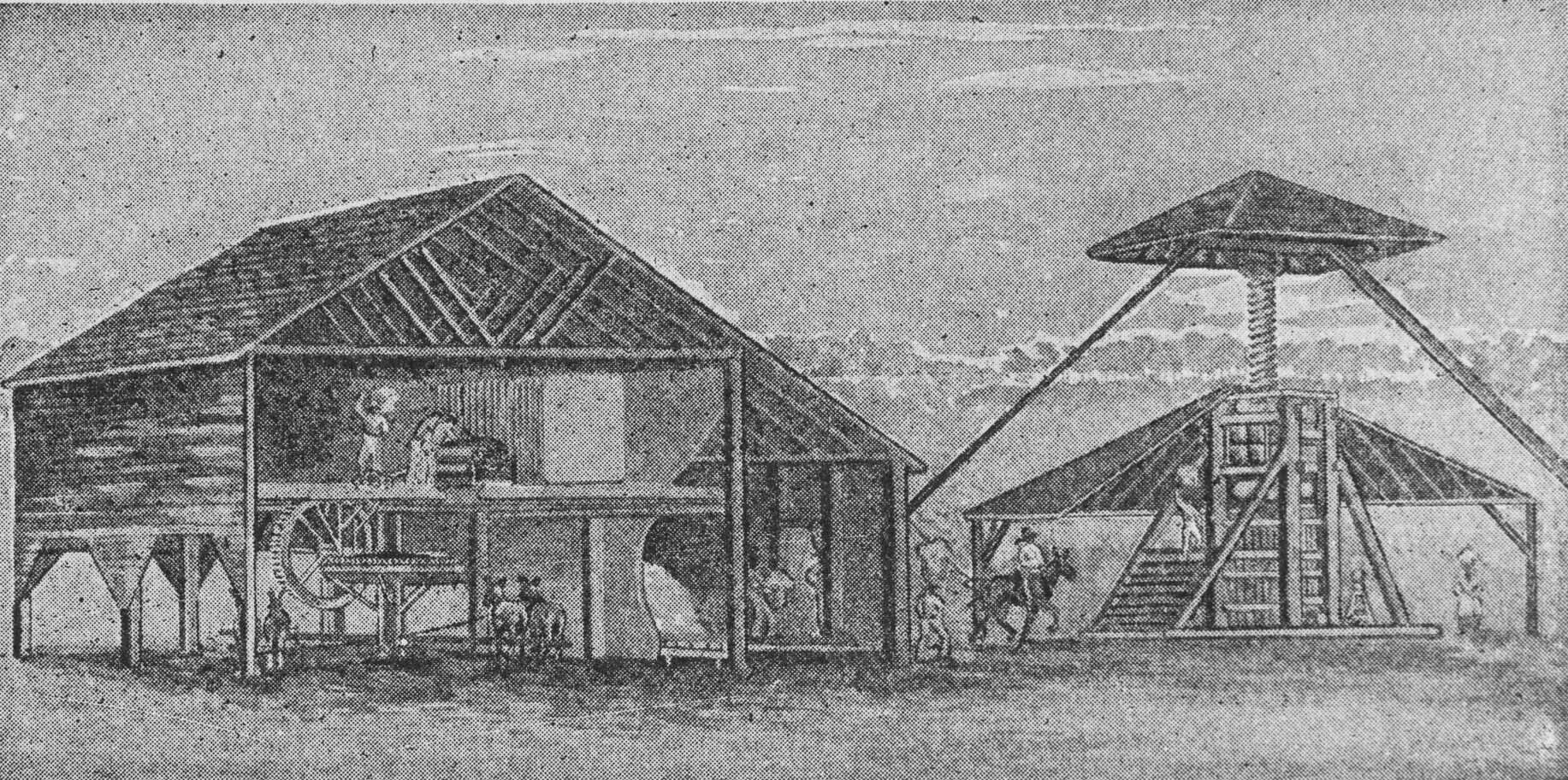 Illustration of Gin House and Screw Press