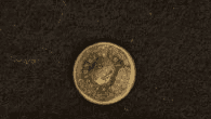 Photograph of a round brass button