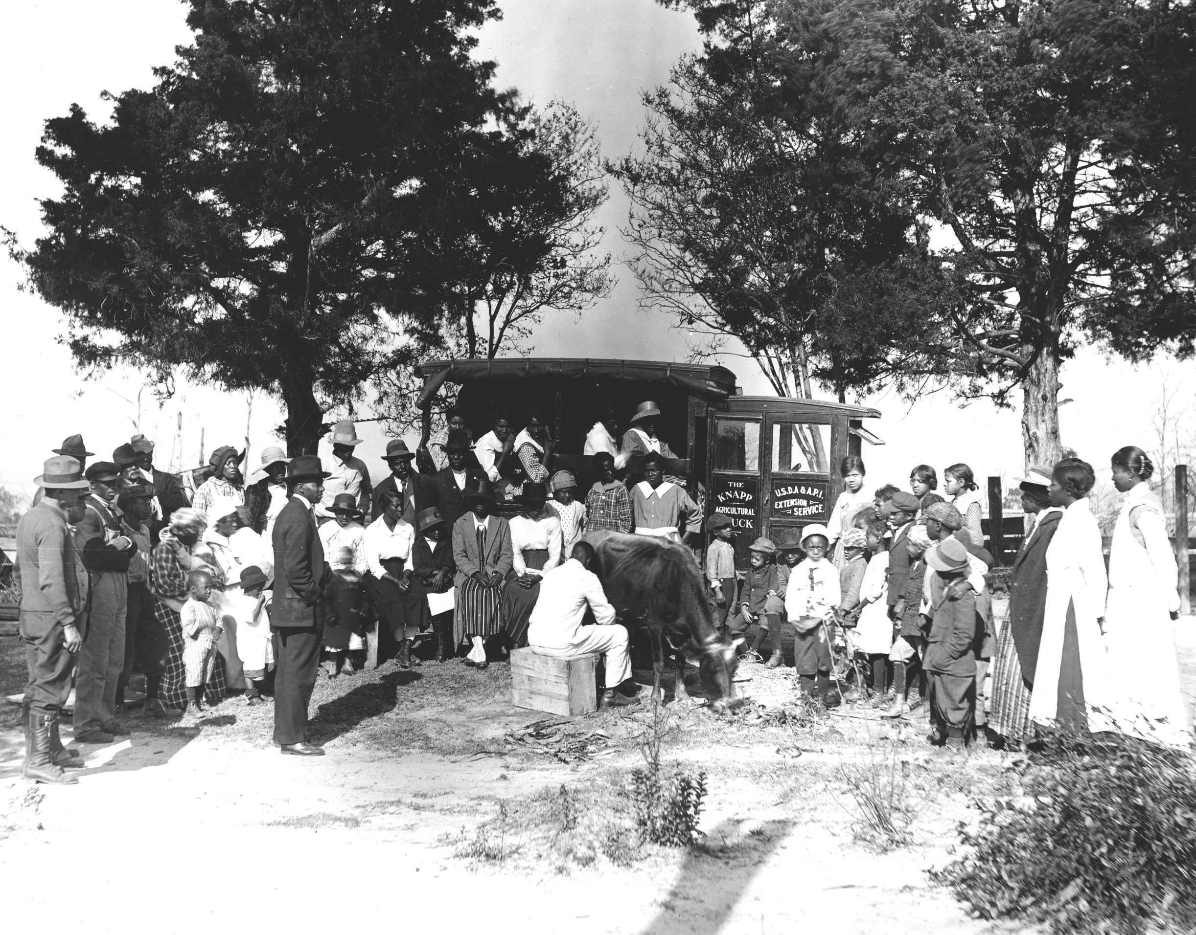 Photo of a group of people gathered around an agricultural truck with a cow, outdoors under trees.