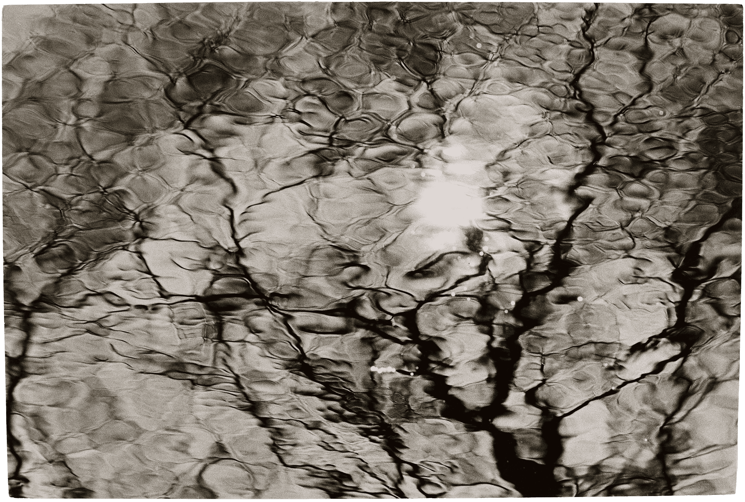 Abstract reflection of tree branches and sunlight on water, creating a rippled, distorted effect.