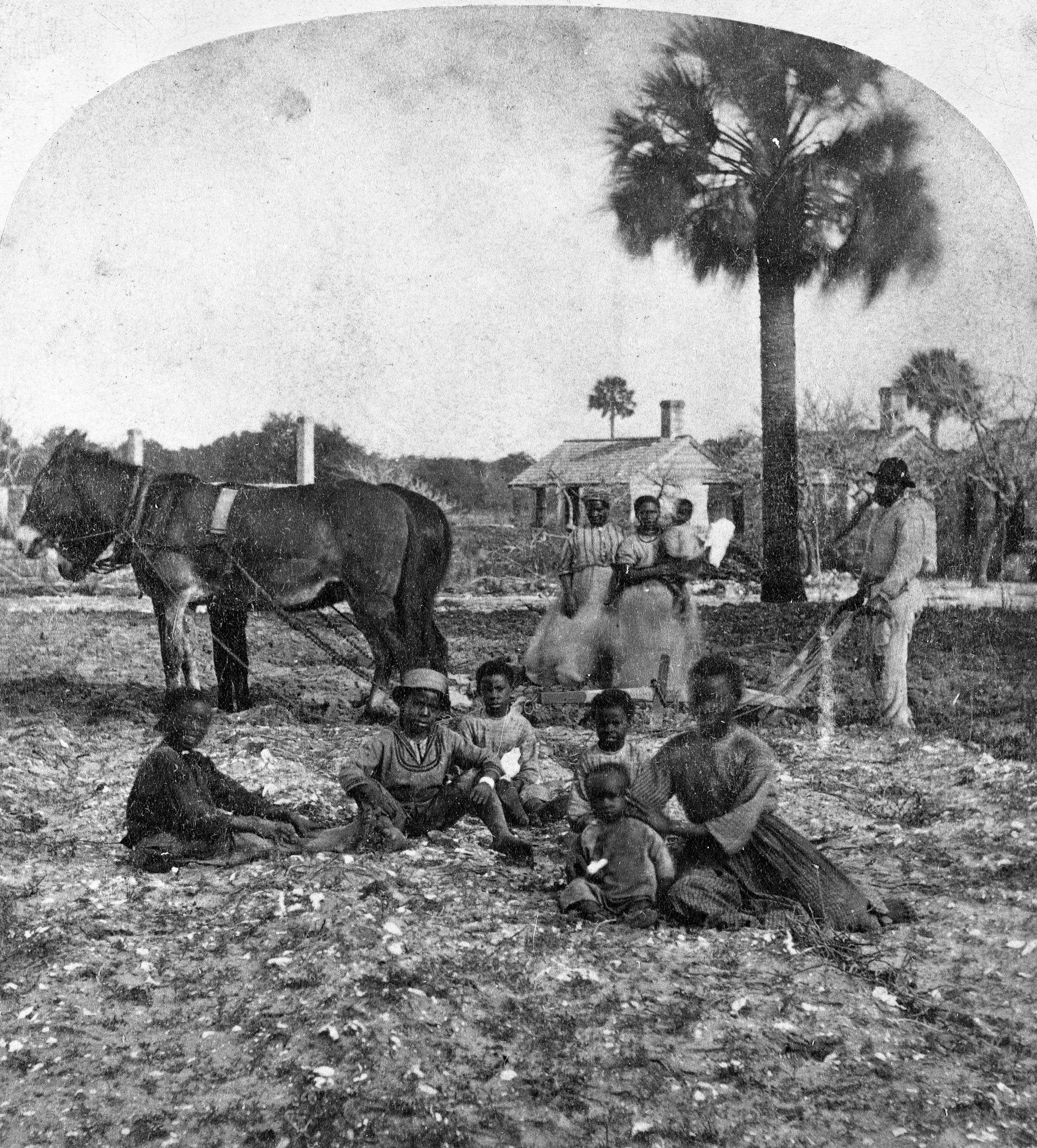 Black and white photograph of African-American family seated and standing in a field.  There are two horses attached to a plow and small houses in the background.