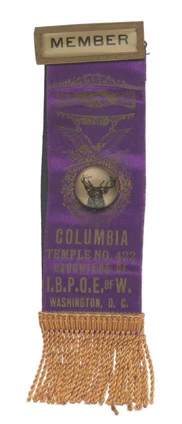 Daughters of I.B.P.O.E. of W. member badge. At the top is a rectangular gold-colored metal bar with a pin back.