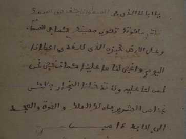 Image of document written in Arabic