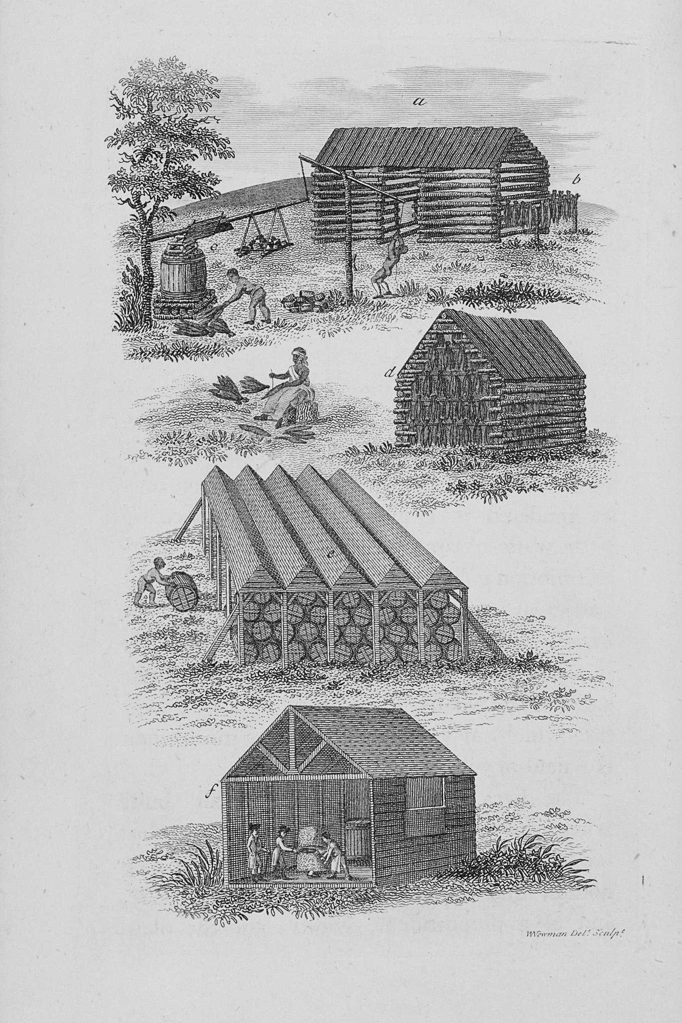 Illustration of The Tobacco House
