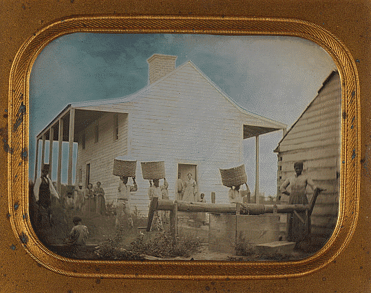 Enslaved People on a Cotton Plantation