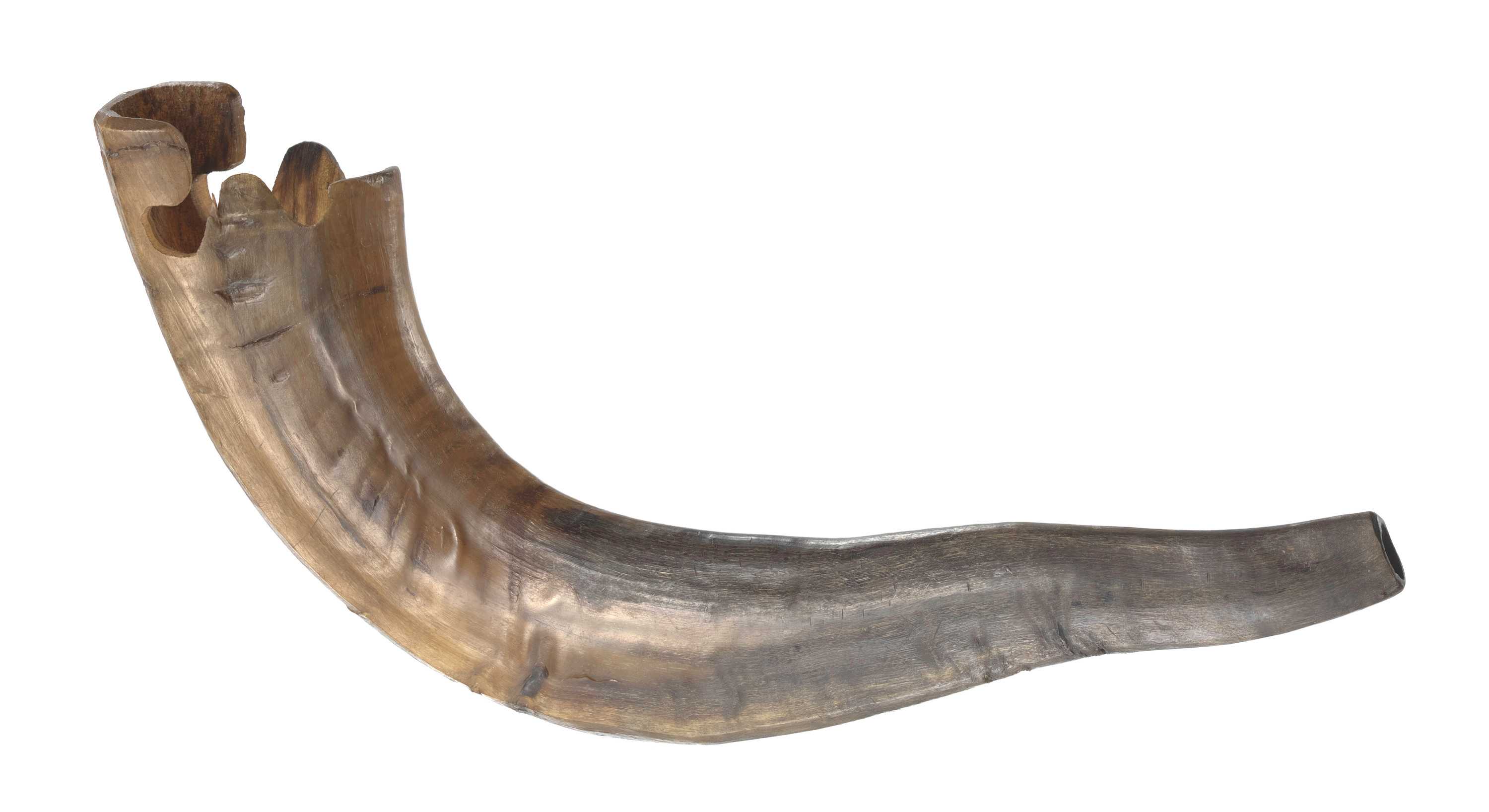 Image of Shofar from Beth Shalom B’nai Zaken Ethiopian Hebrew Congregation