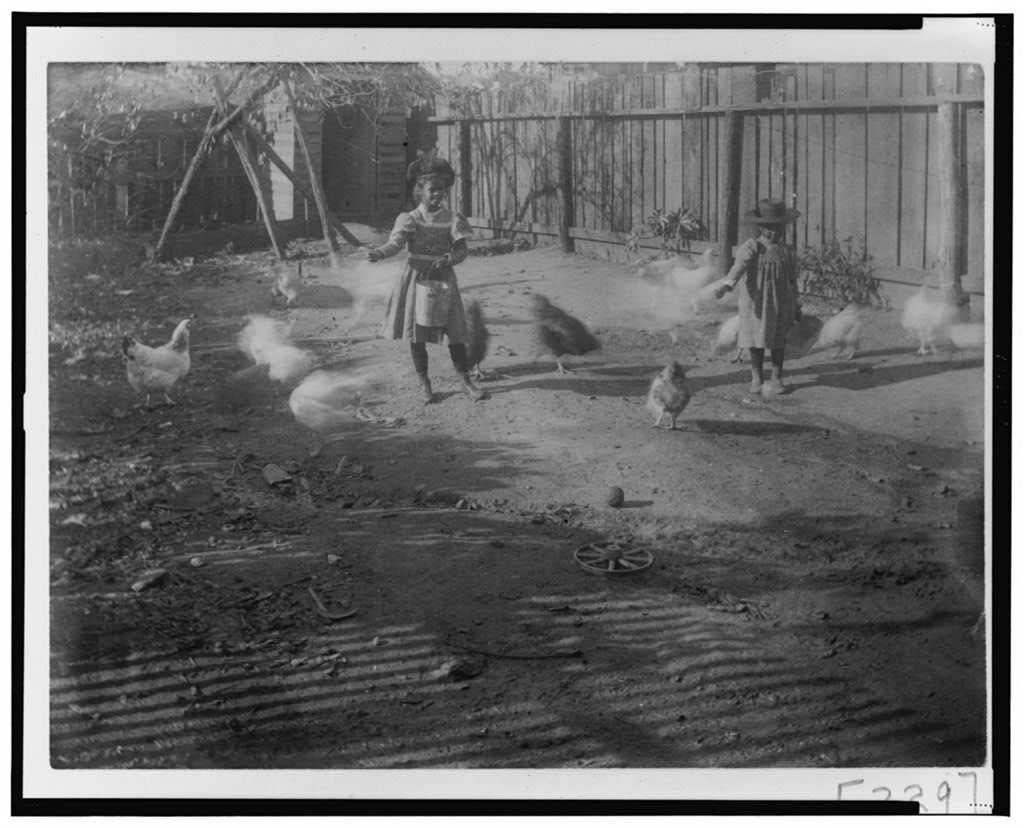 Black and white photograph of two small African American girls feeding chickens in an enclosed yard