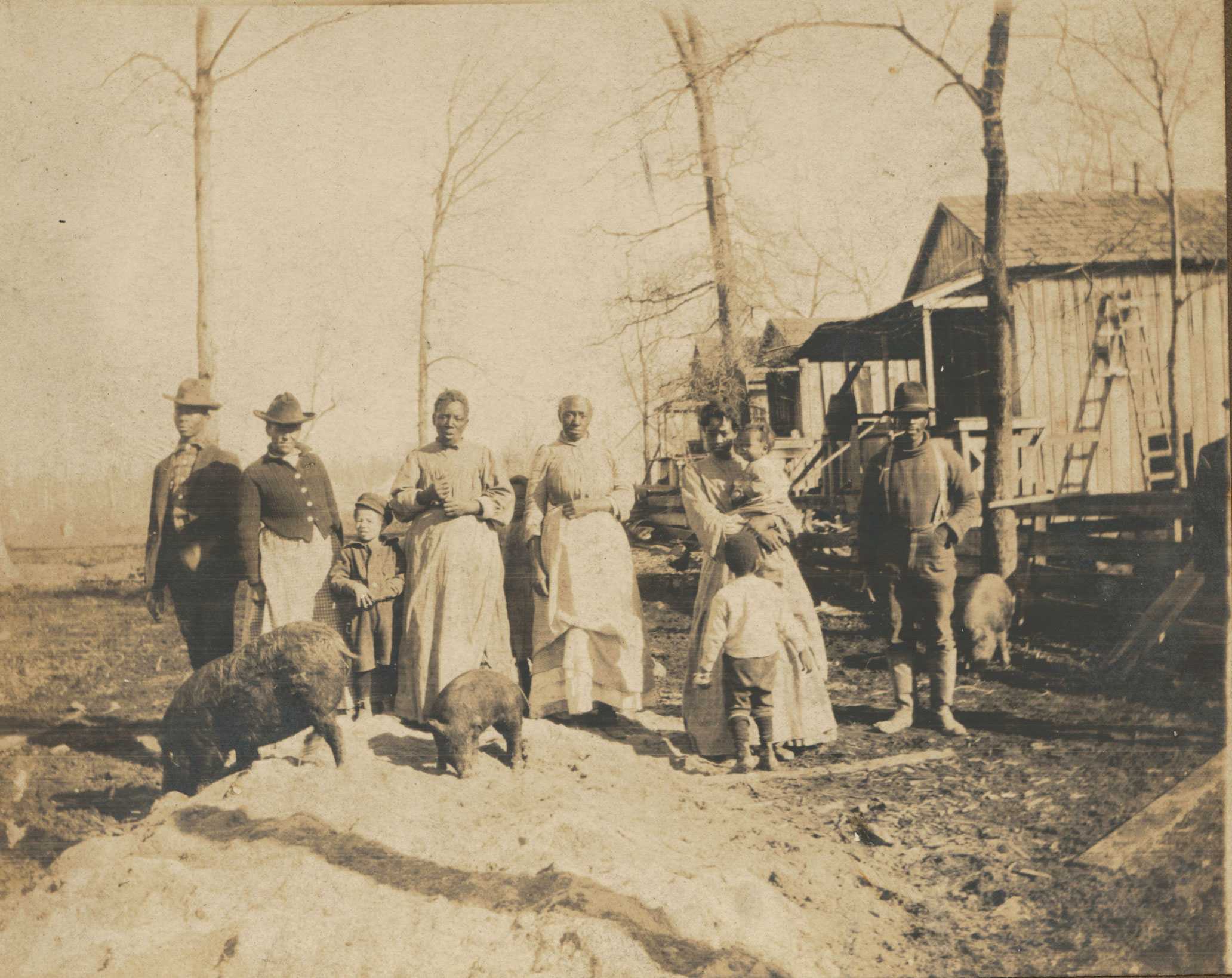 An albumen print of a sharecropping family